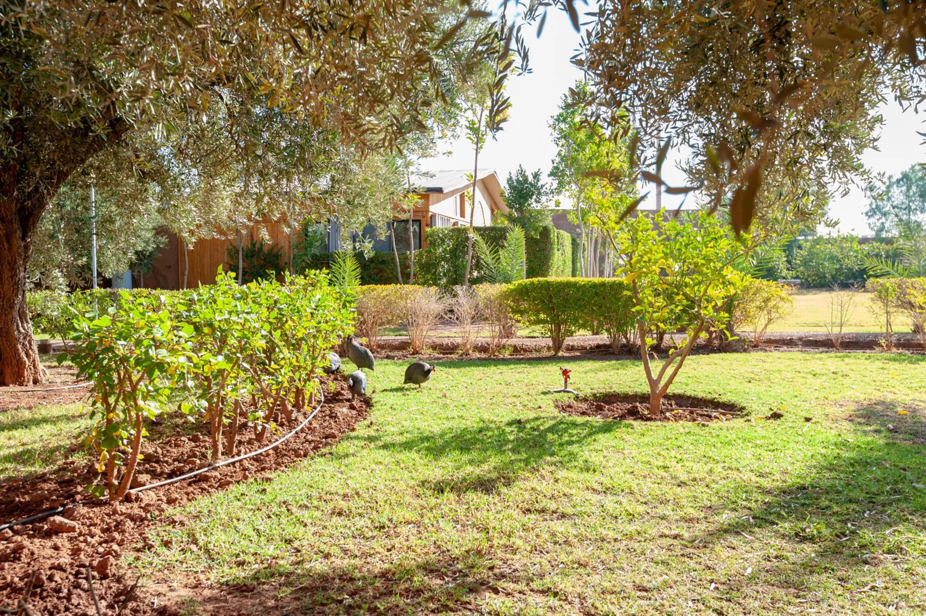 Spring in Ferme Sidi Safou & Spa