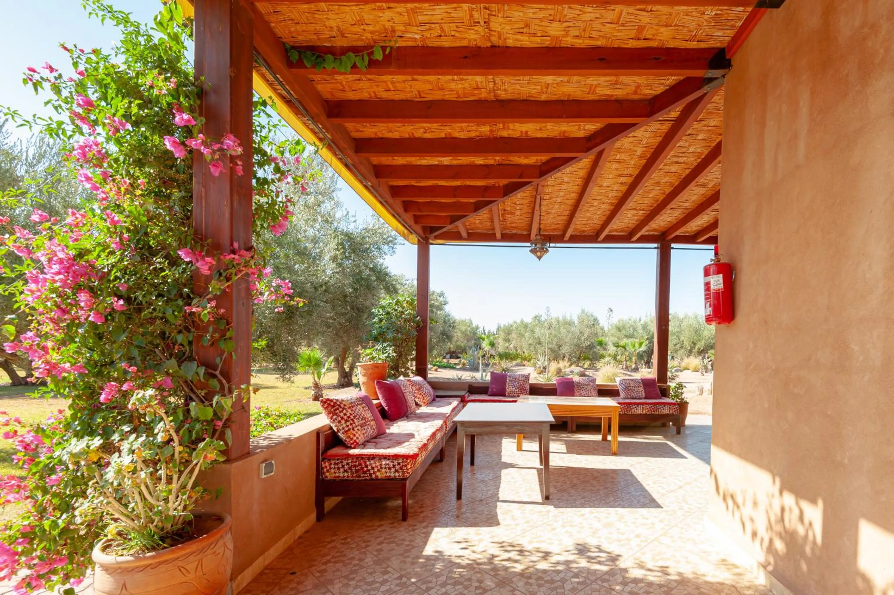 Spring in Ferme Sidi Safou & Spa