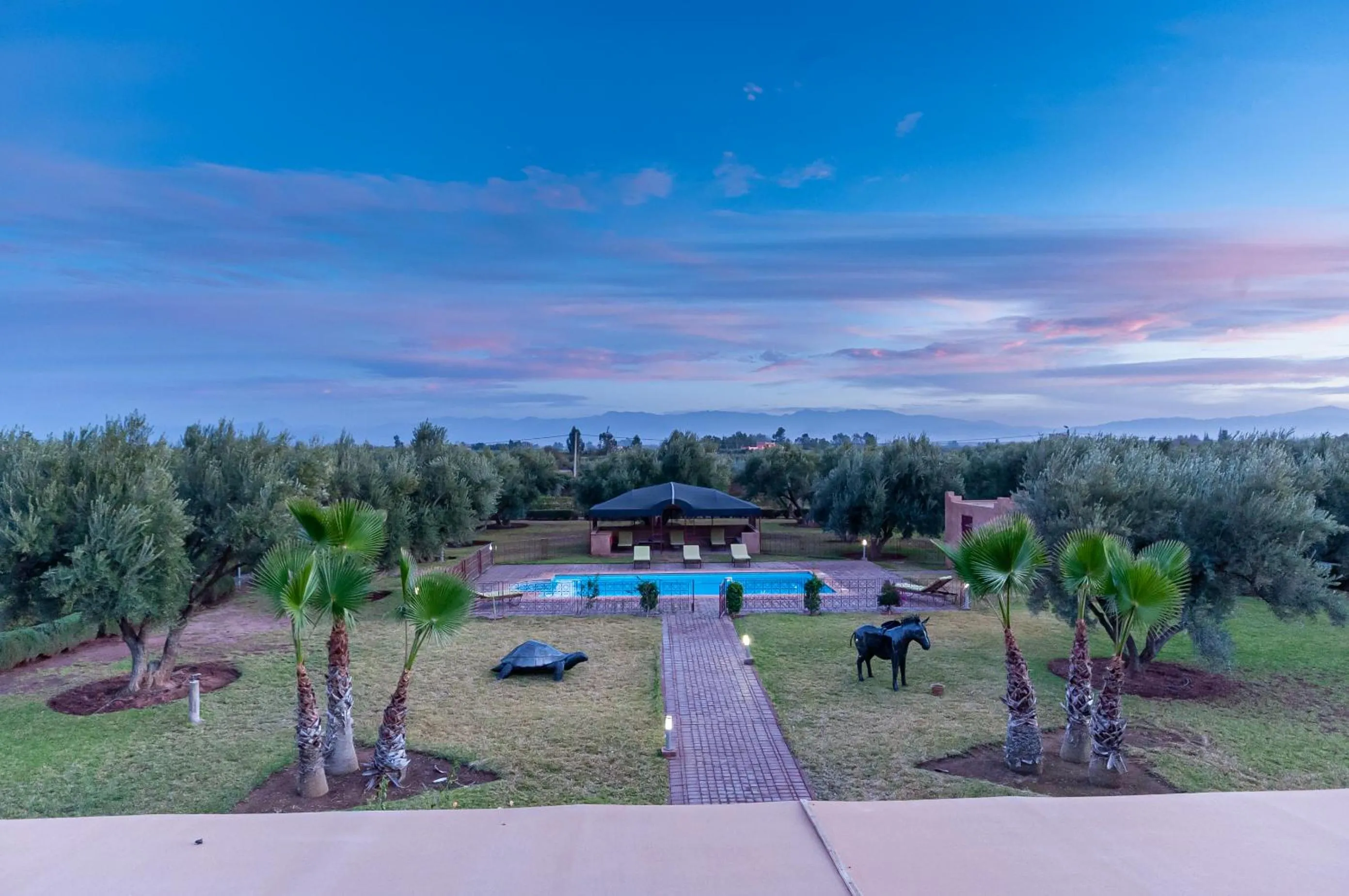 Spring in Ferme Sidi Safou & Spa