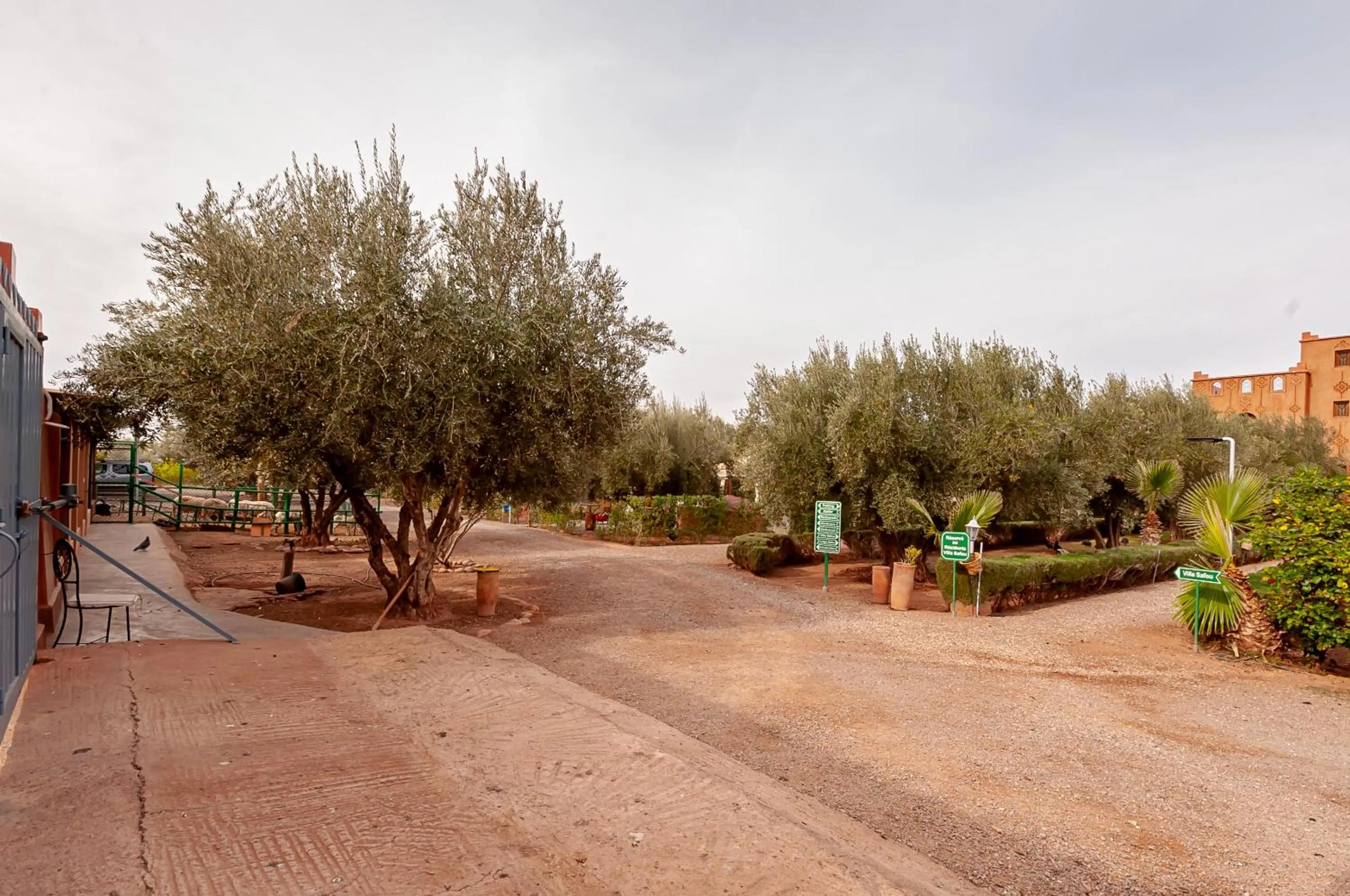 Day in Ferme Sidi Safou & Spa