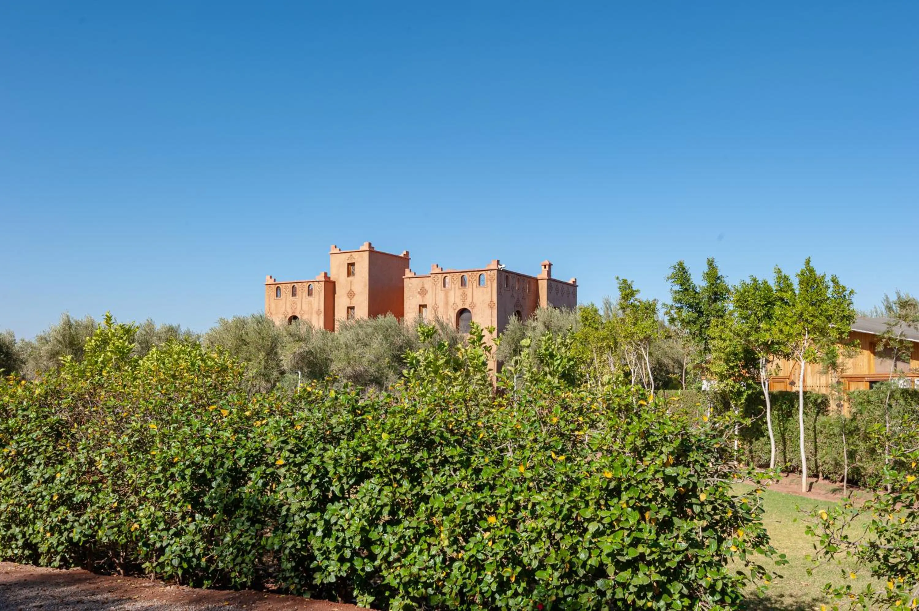 Spring in Ferme Sidi Safou & Spa