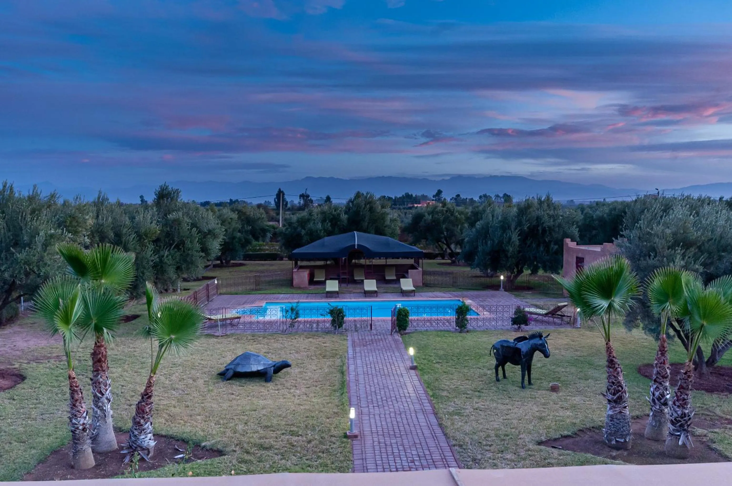 Spring in Ferme Sidi Safou & Spa