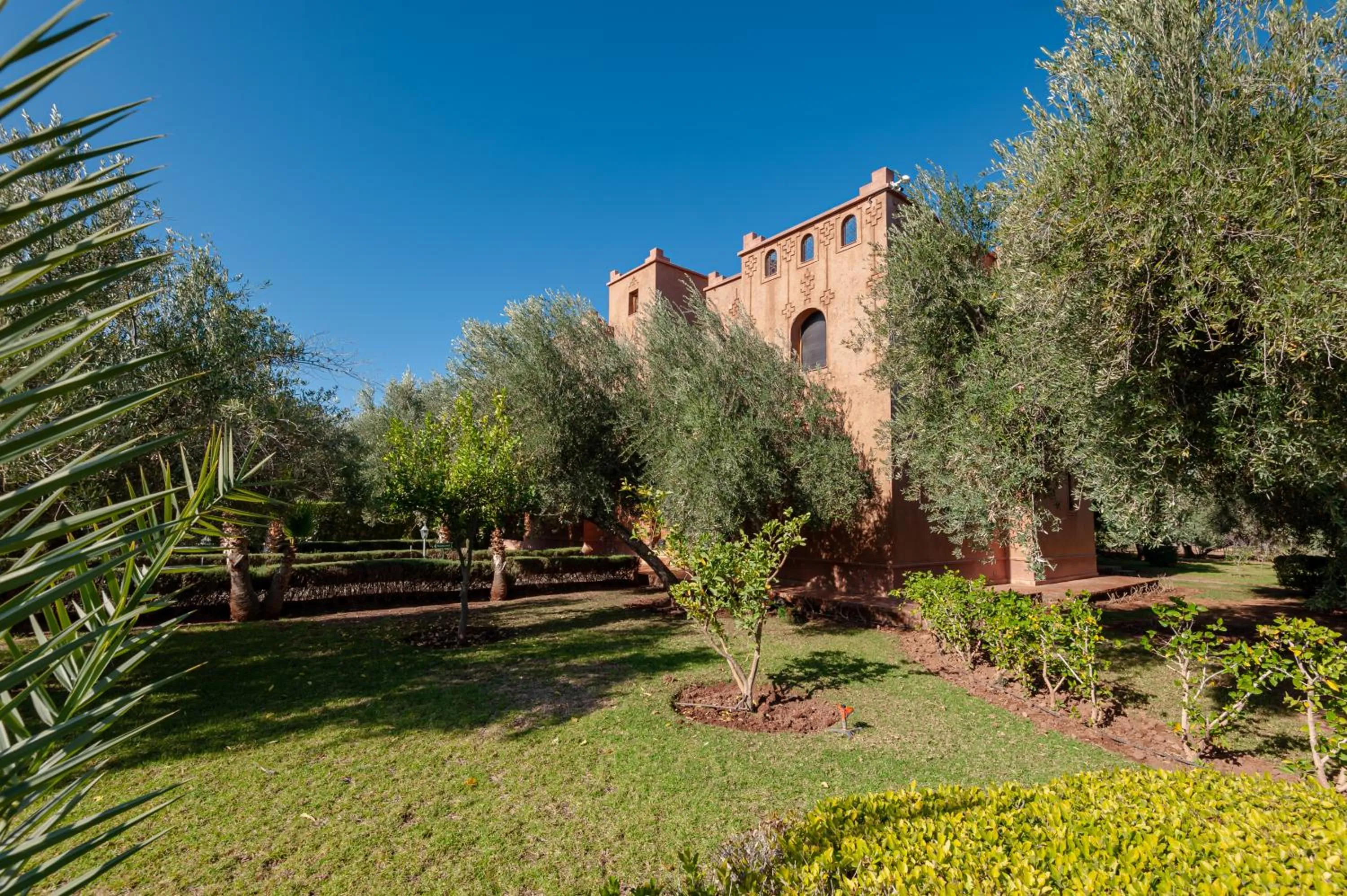 Natural landscape in Ferme Sidi Safou & Spa