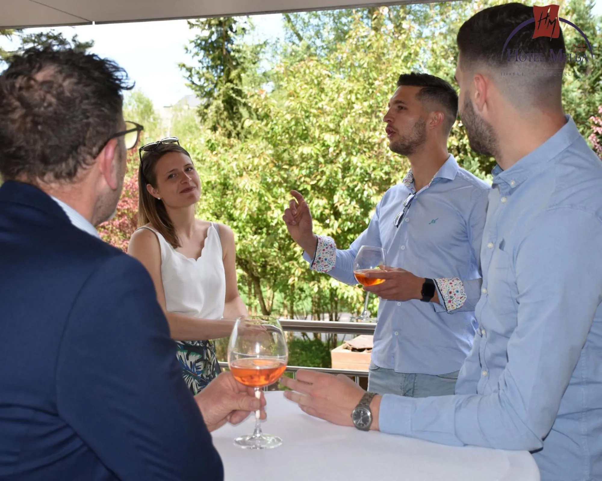 Meeting/conference room in Hotel Melba