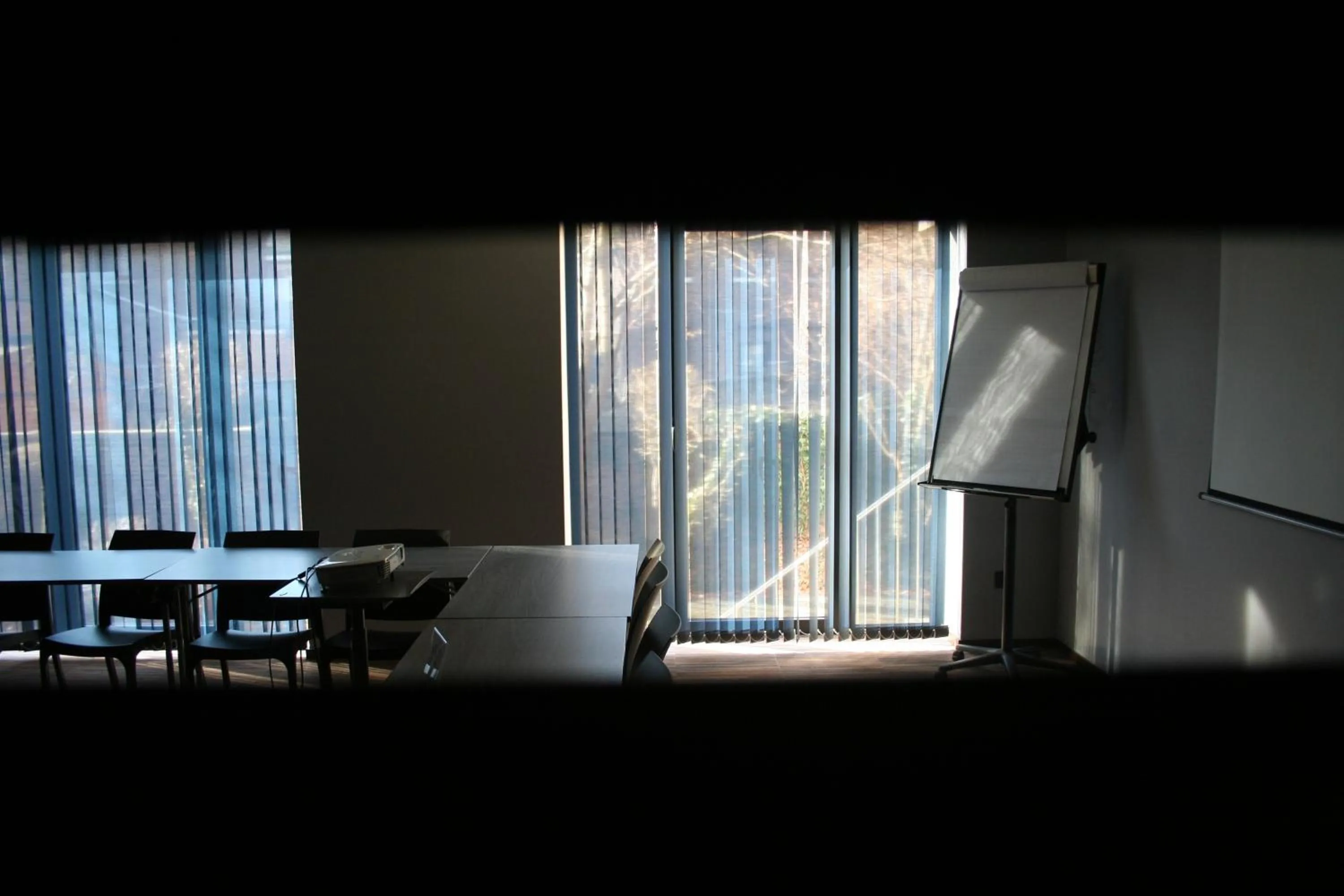 Meeting/conference room in Hotel Sirius