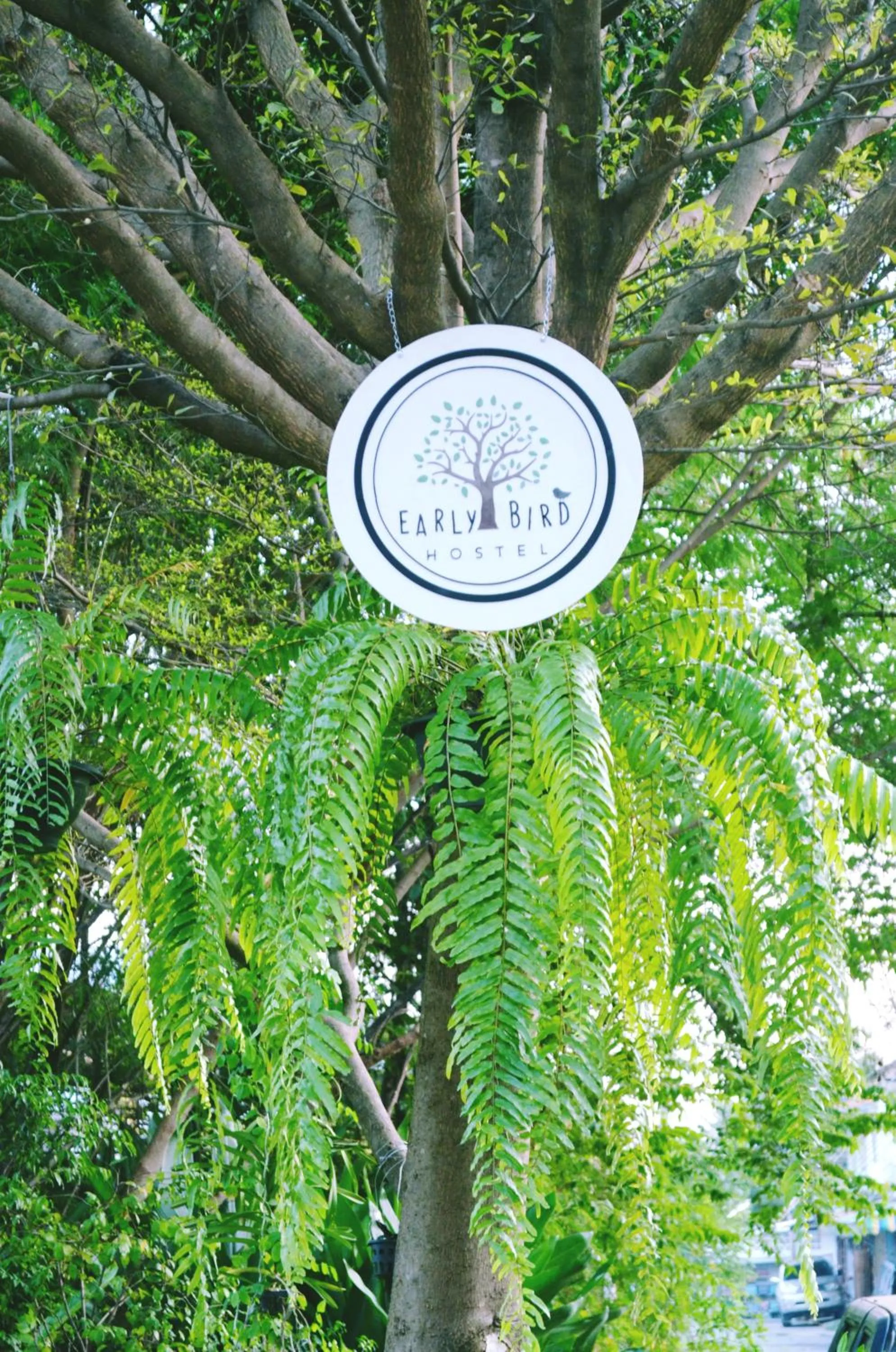 Property logo or sign in Early Bird Hostel Ayutthaya