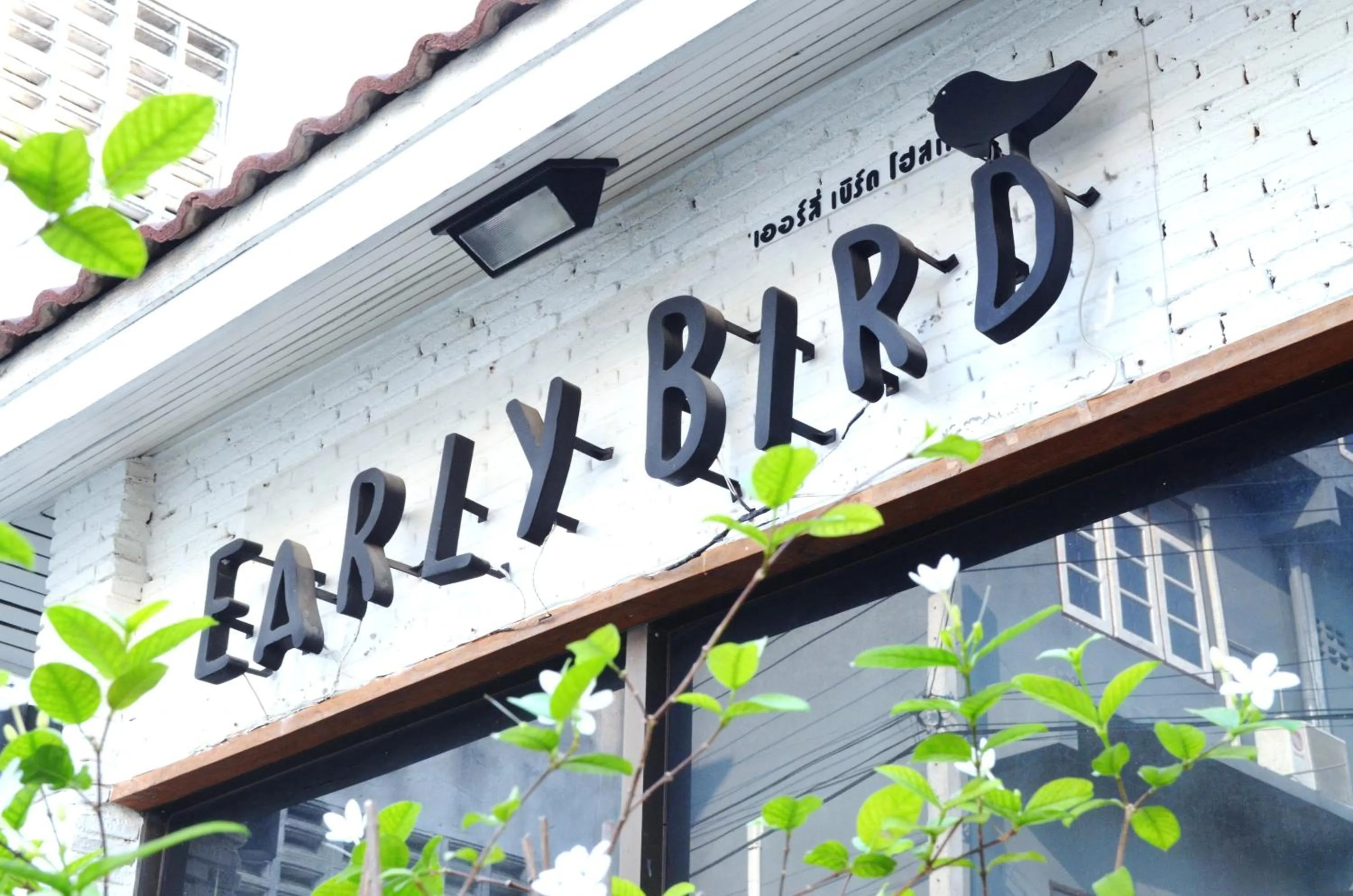 Property logo or sign in Early Bird Hostel Ayutthaya