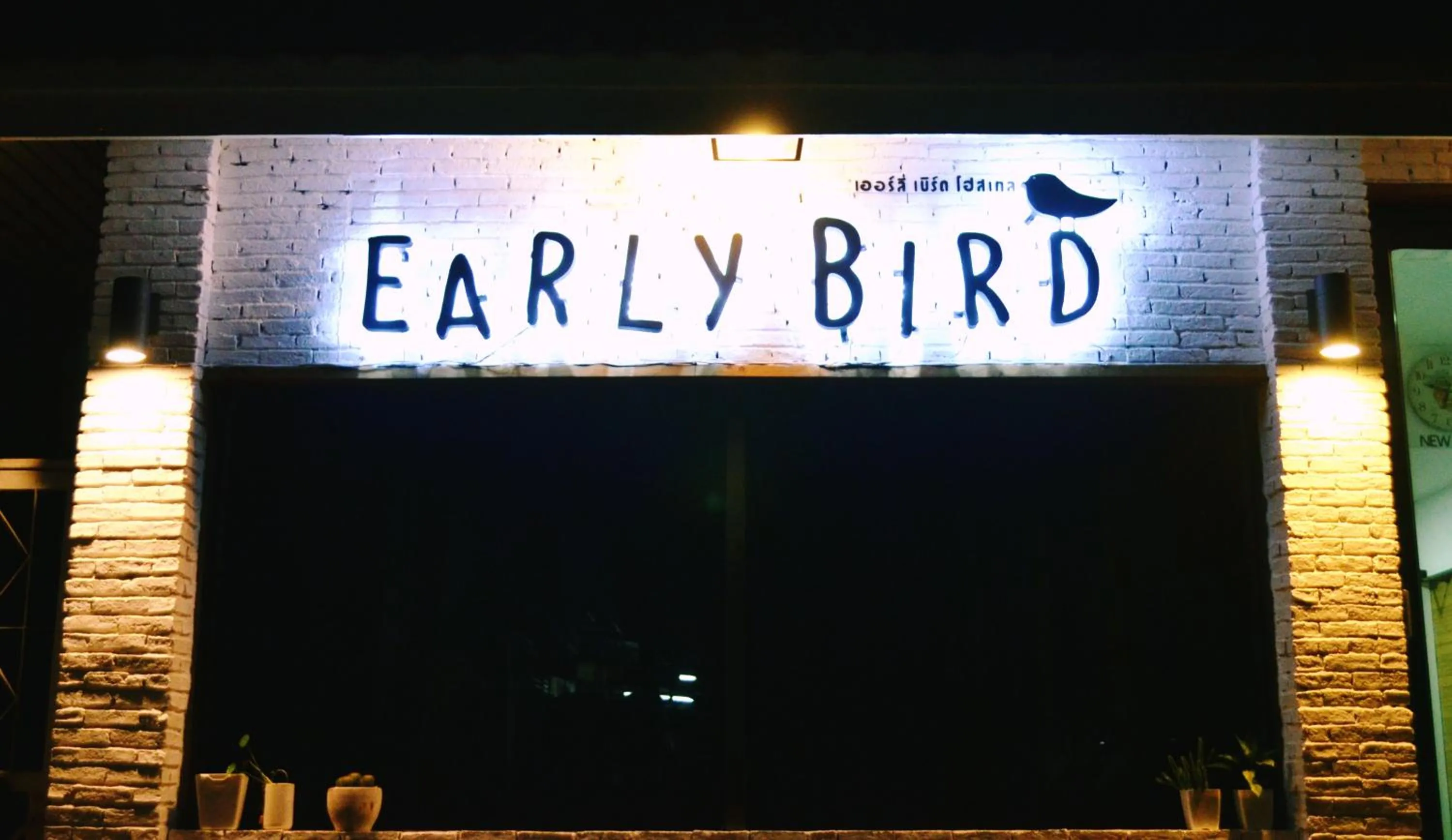 Night in Early Bird Hostel Ayutthaya