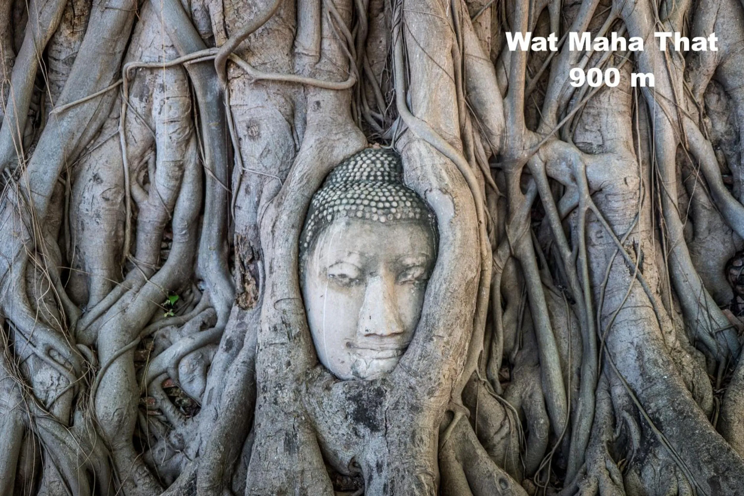 Nearby landmark in Early Bird Hostel Ayutthaya