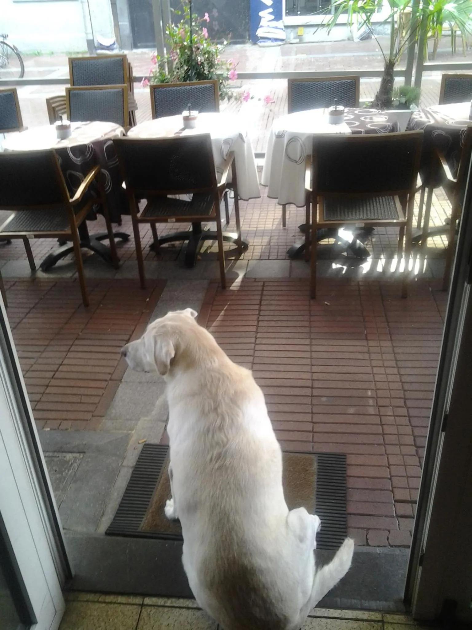 Restaurant/places to eat in Hotel 'T Hert