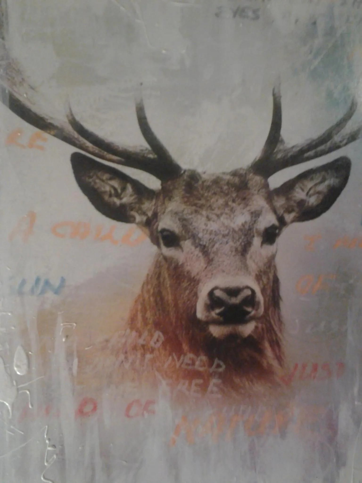 Other in Hotel 'T Hert