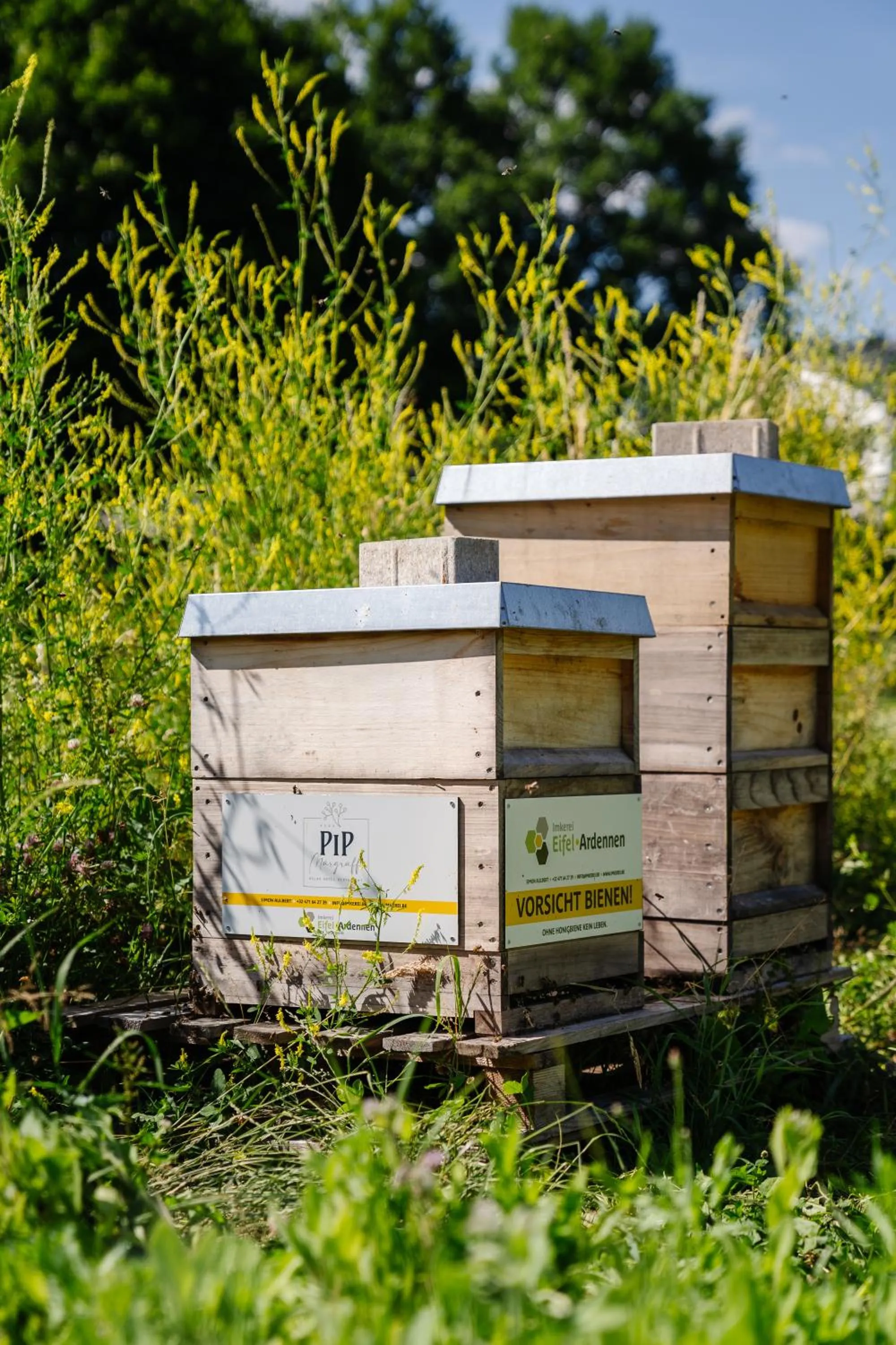Breakfast in Relax-Hotel Pip-Margraff