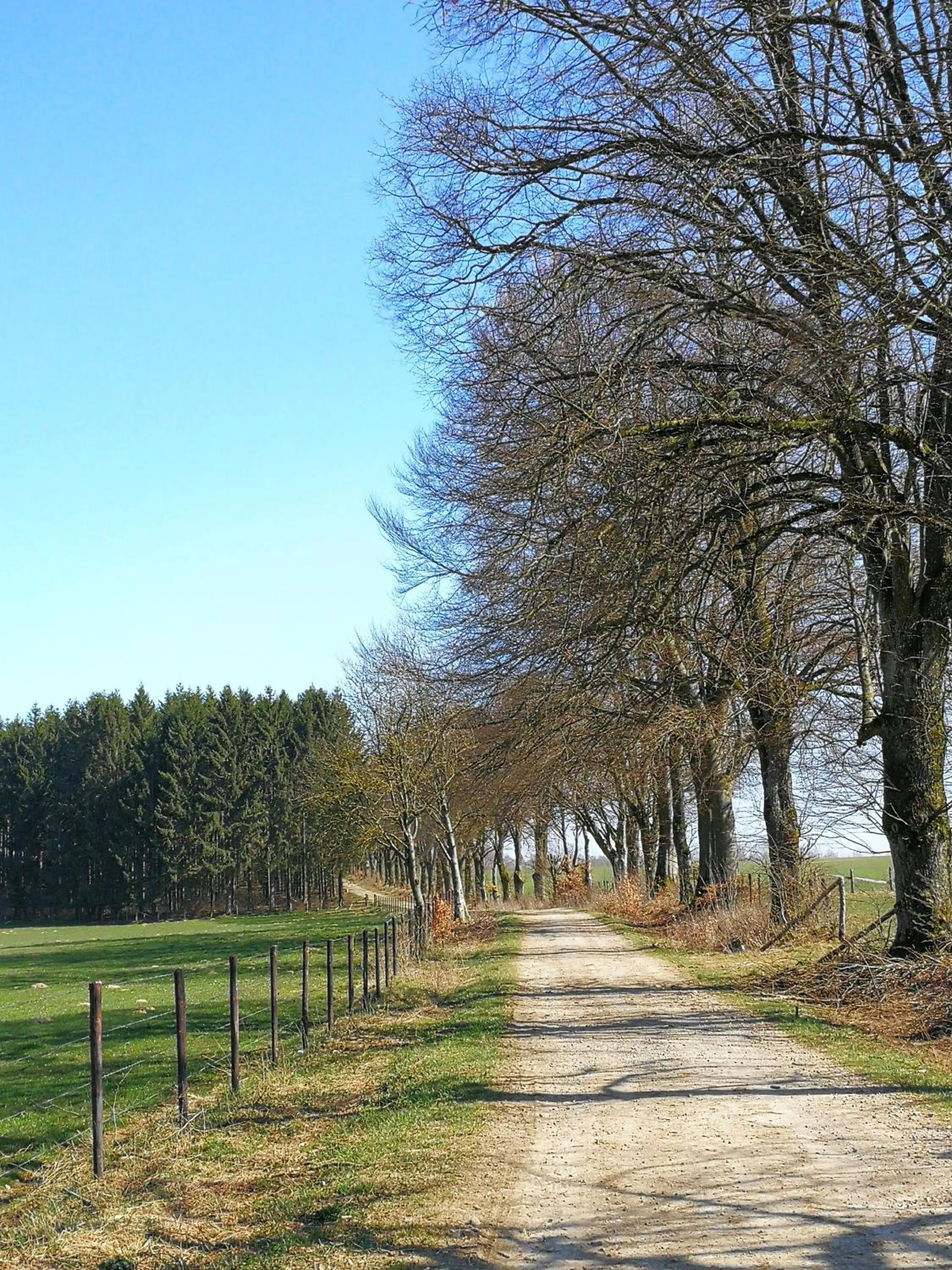 Natural landscape in Relax-Hotel Pip-Margraff