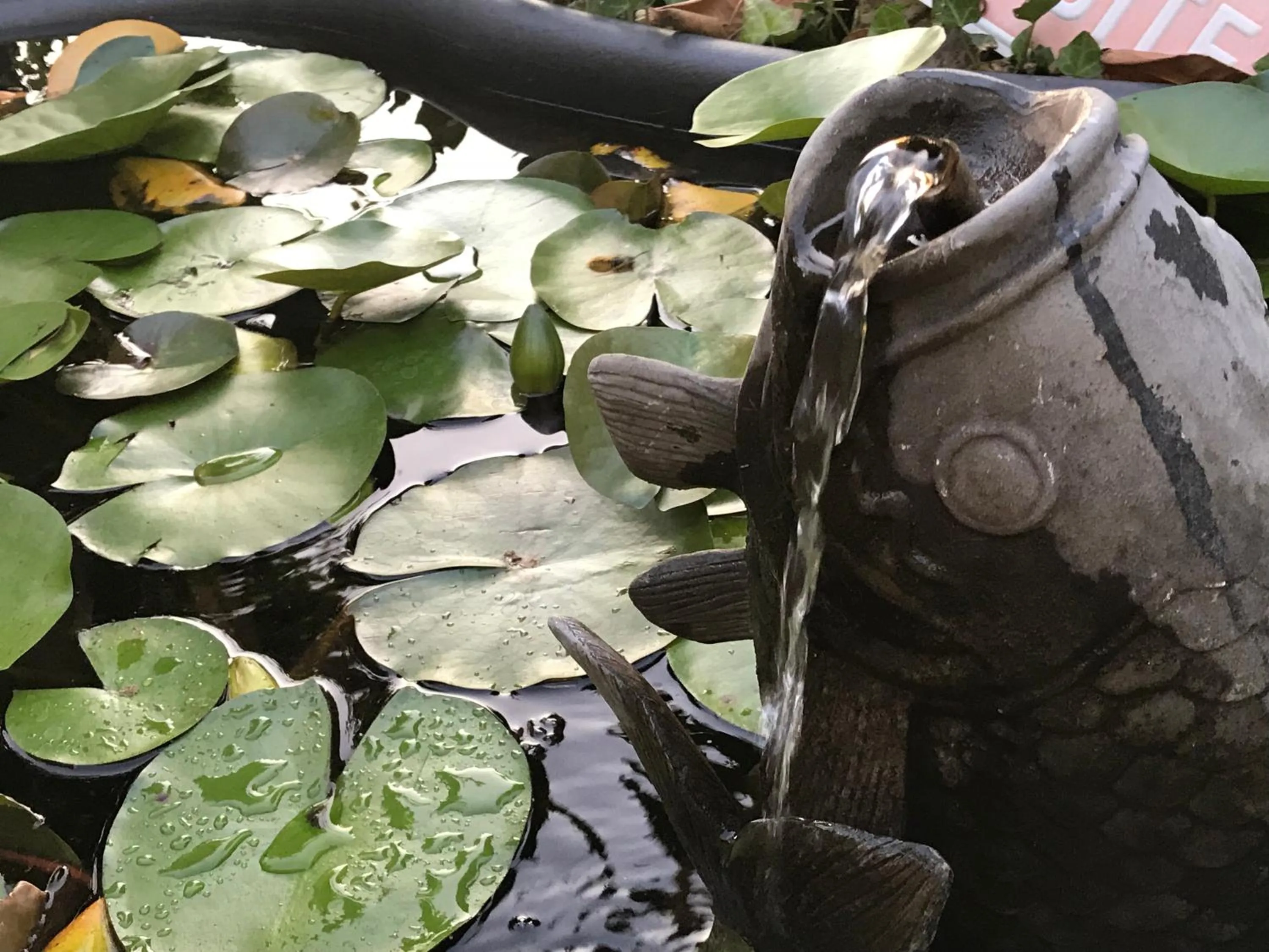 Balcony/Terrace in Le Peyrail