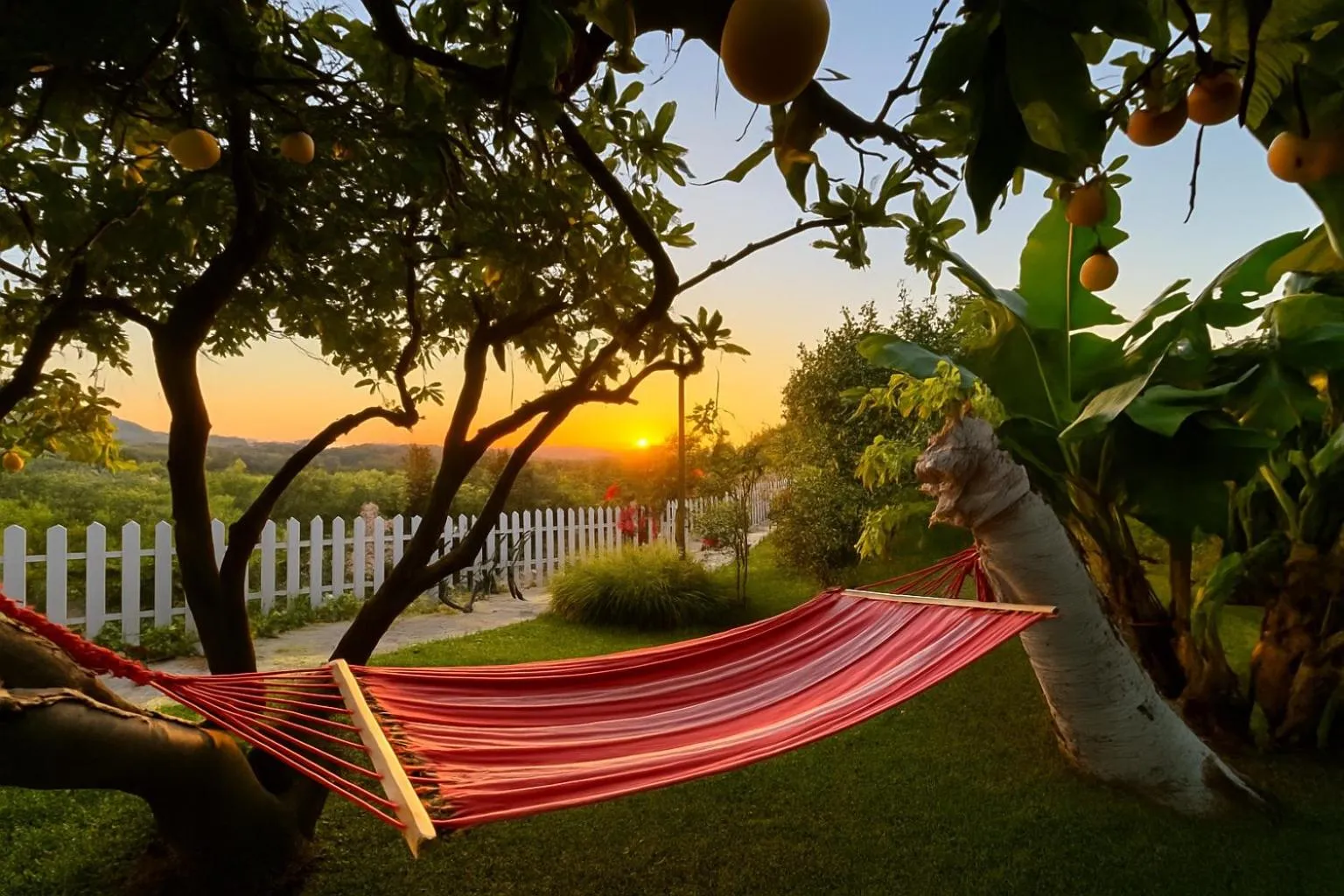 Natural landscape in Hotel Altea Paradise 1917 - Adults Only