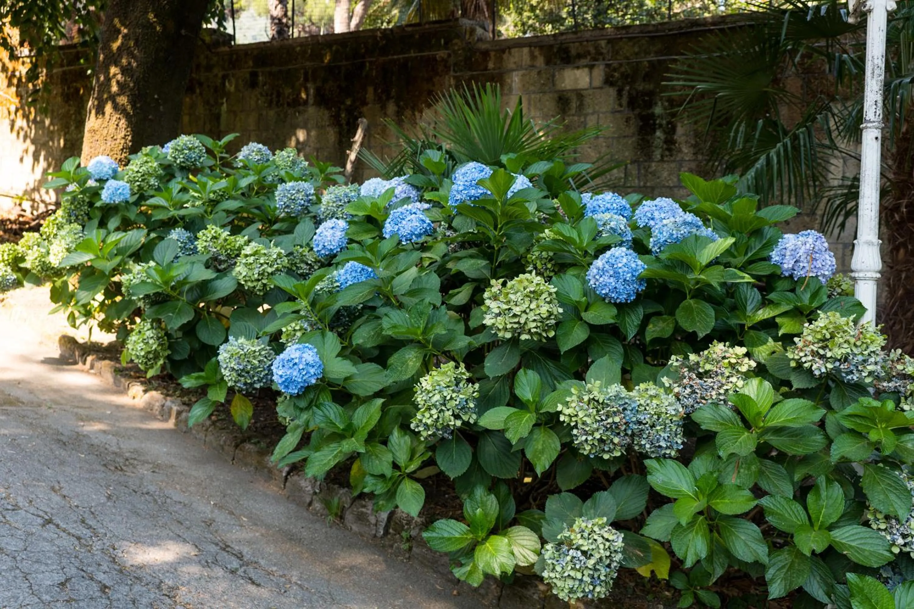 Garden in Du Parc Boutique Home