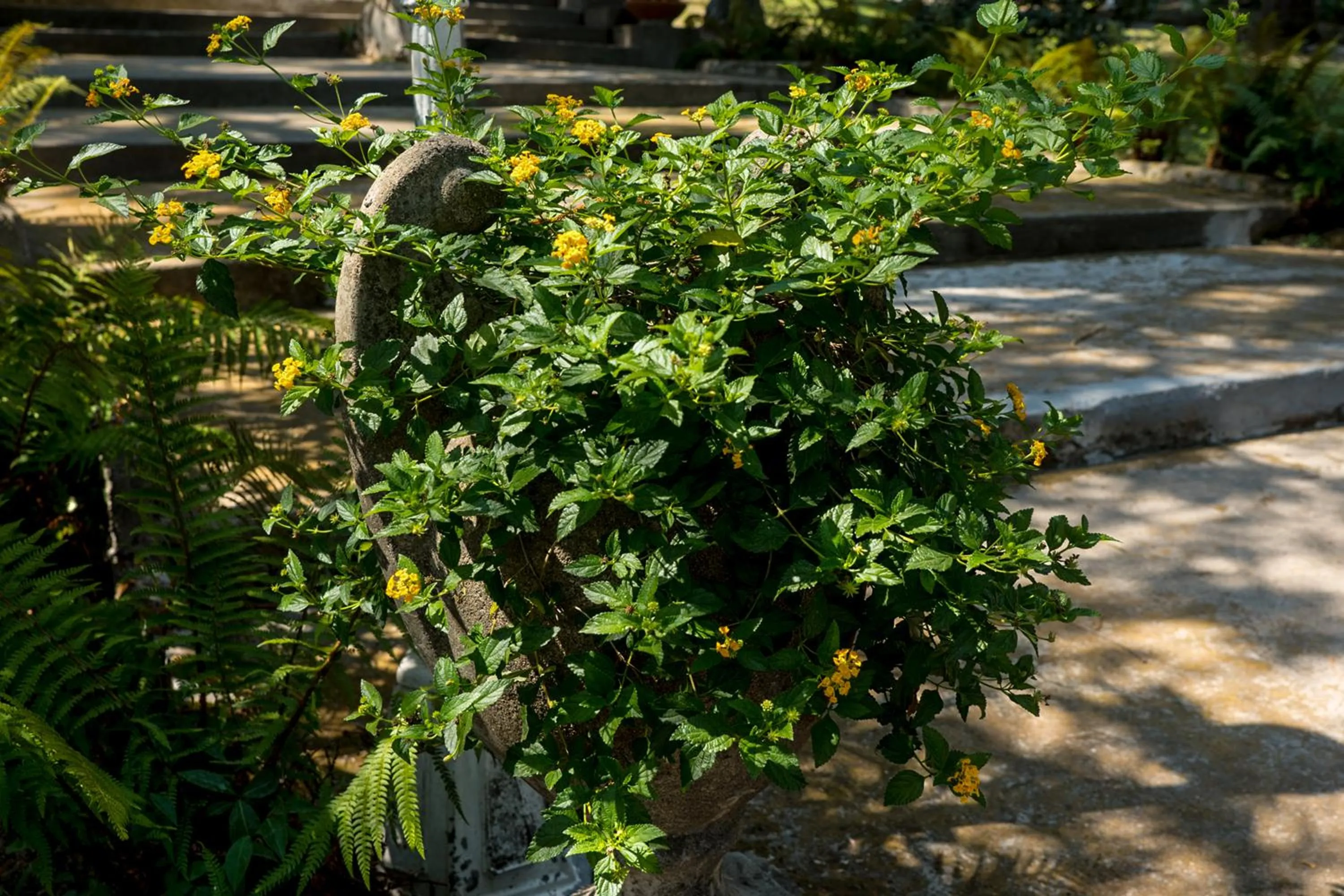 Garden in Du Parc Boutique Home