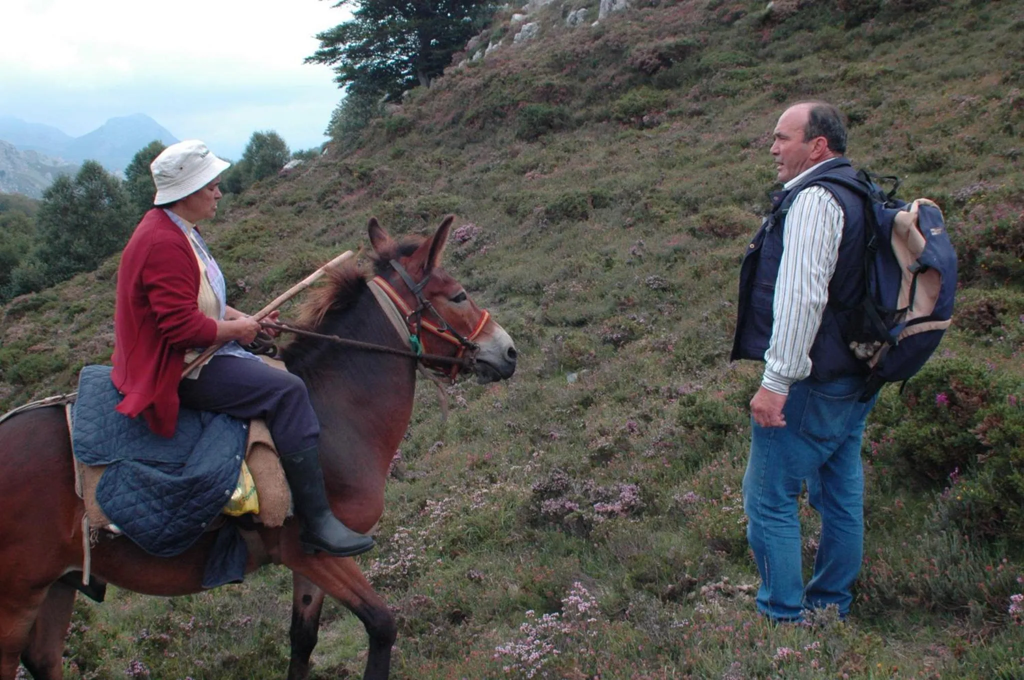 Activities in Posada El Mirador