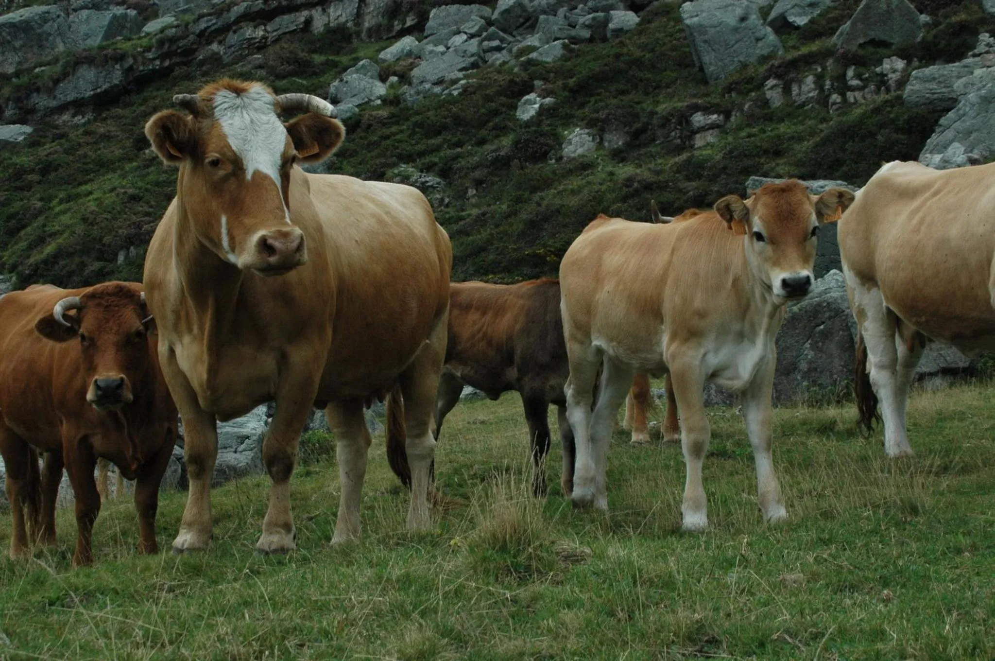 Activities in Posada El Mirador