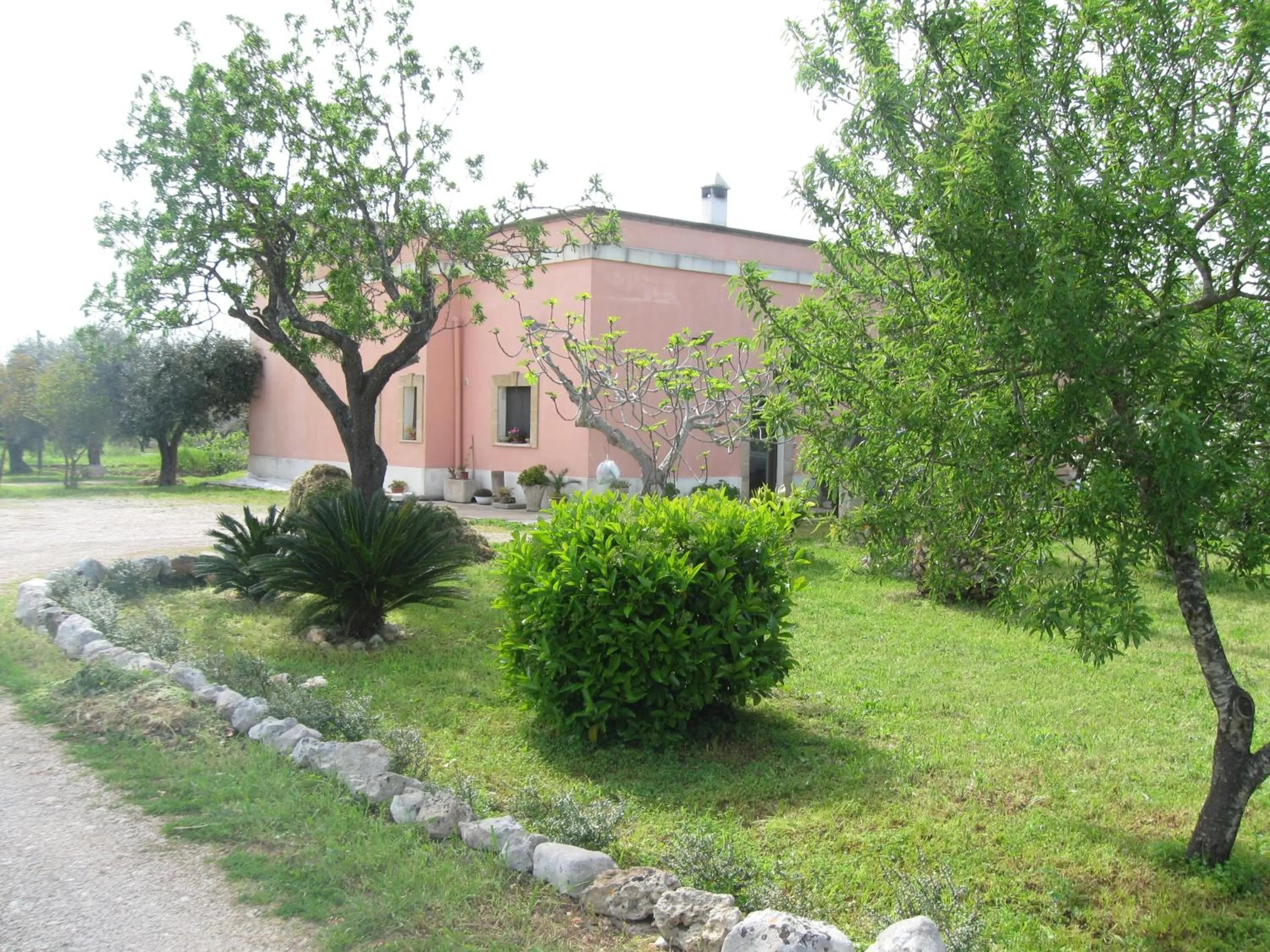 Garden view in Villa Rita Bed & Breakfast