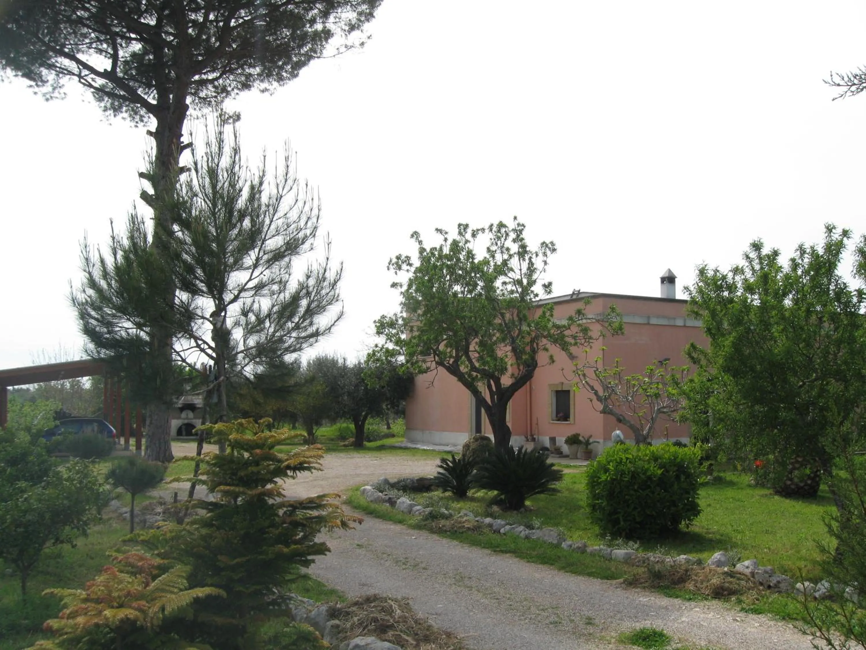 Garden view in Villa Rita Bed & Breakfast