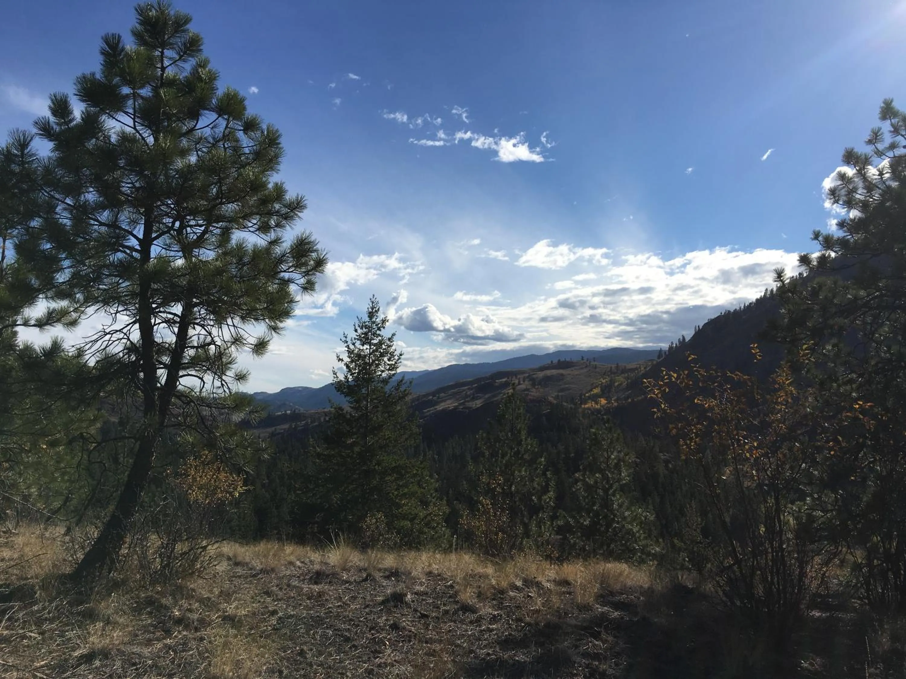 Hiking in Casa Colina