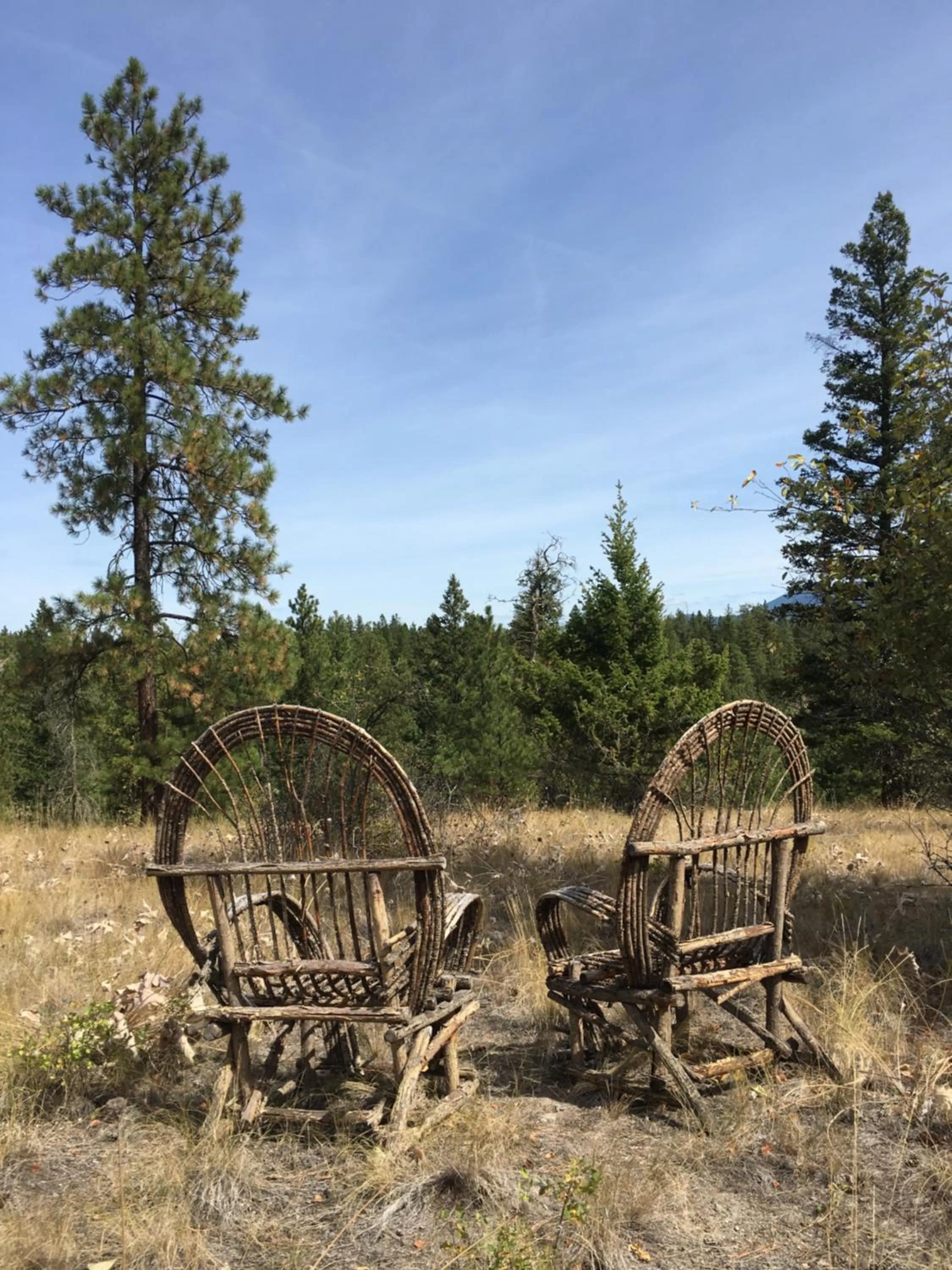 Natural landscape in Casa Colina