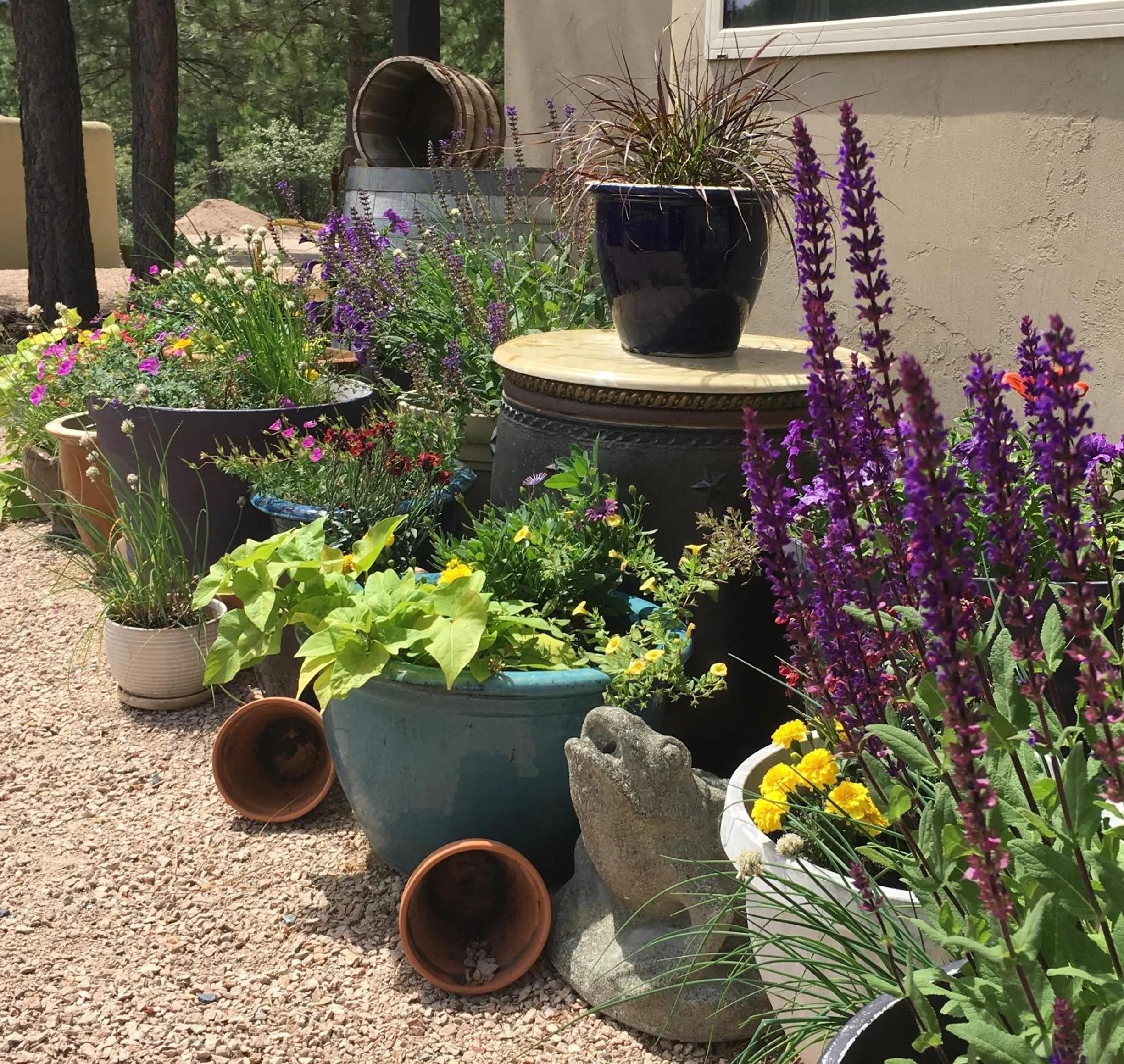 Garden in Casa Colina