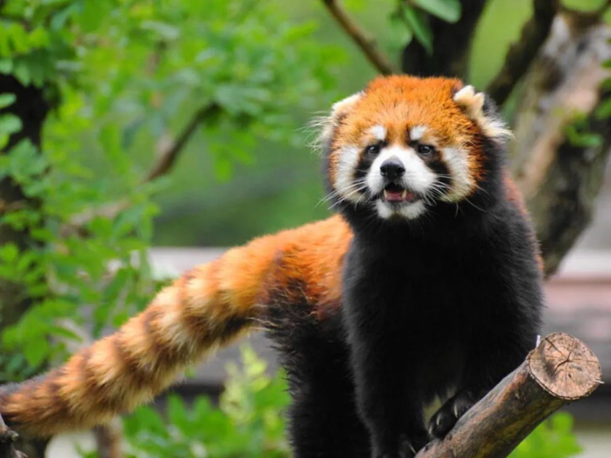 Nearby landmark in Astil Hotel Shinosaka Precious
