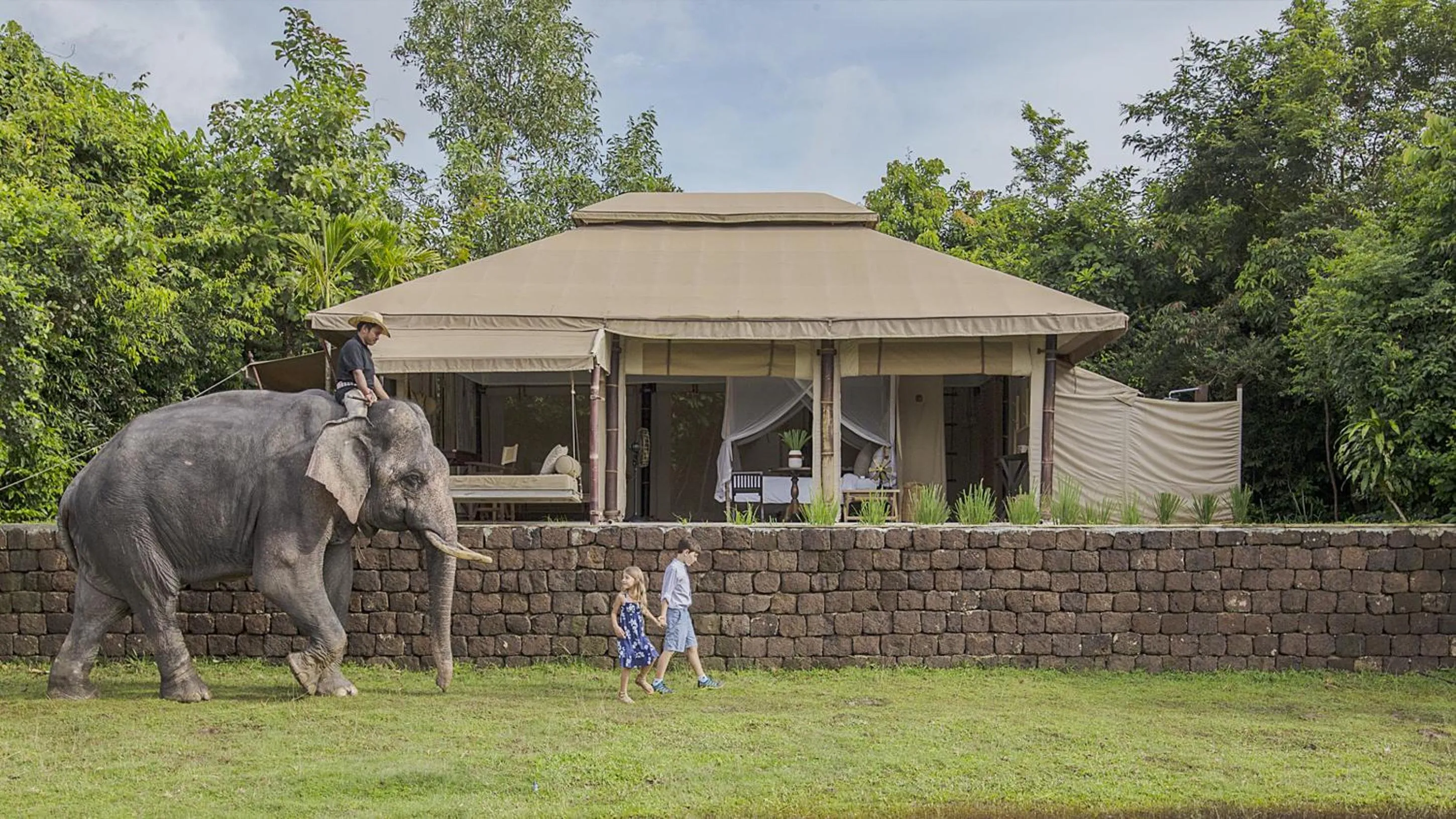 Animals in The Beige