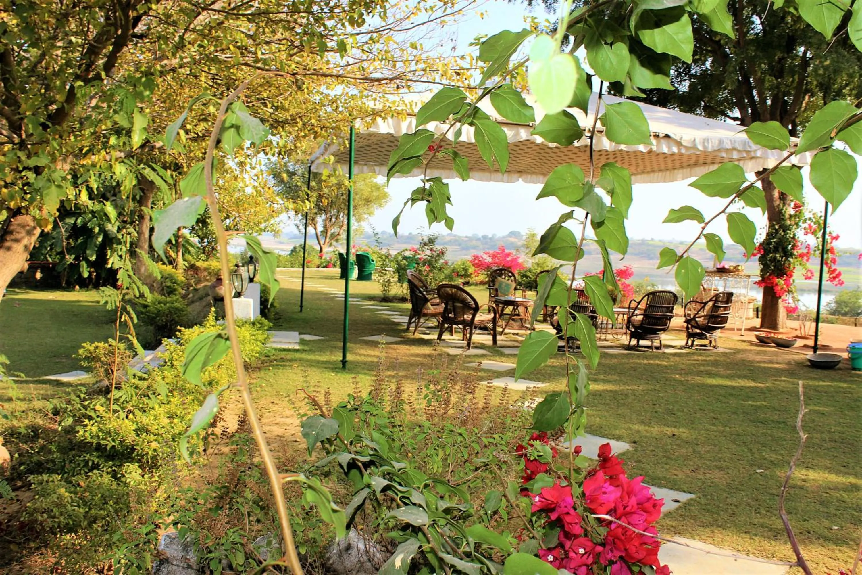 Patio in Bhadrawati - A Riverside Safari Lodge Ranthambore