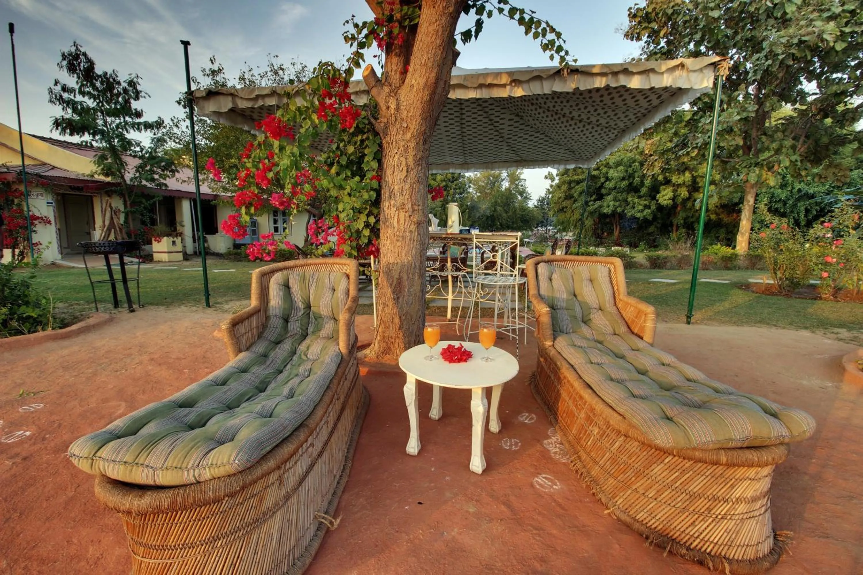 Patio in Bhadrawati - A Riverside Safari Lodge Ranthambore