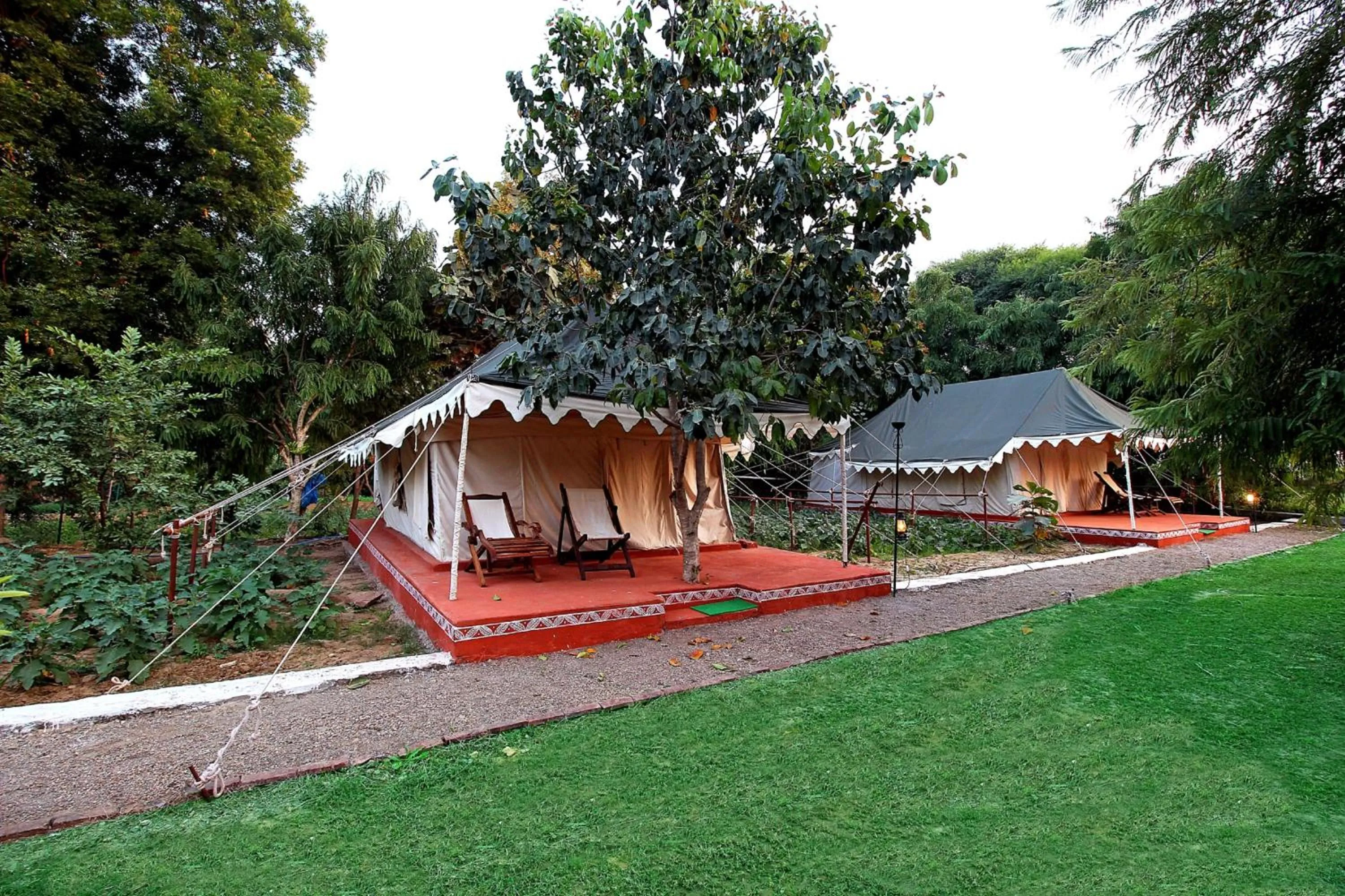 Area and facilities in Bhadrawati - A Riverside Safari Lodge Ranthambore
