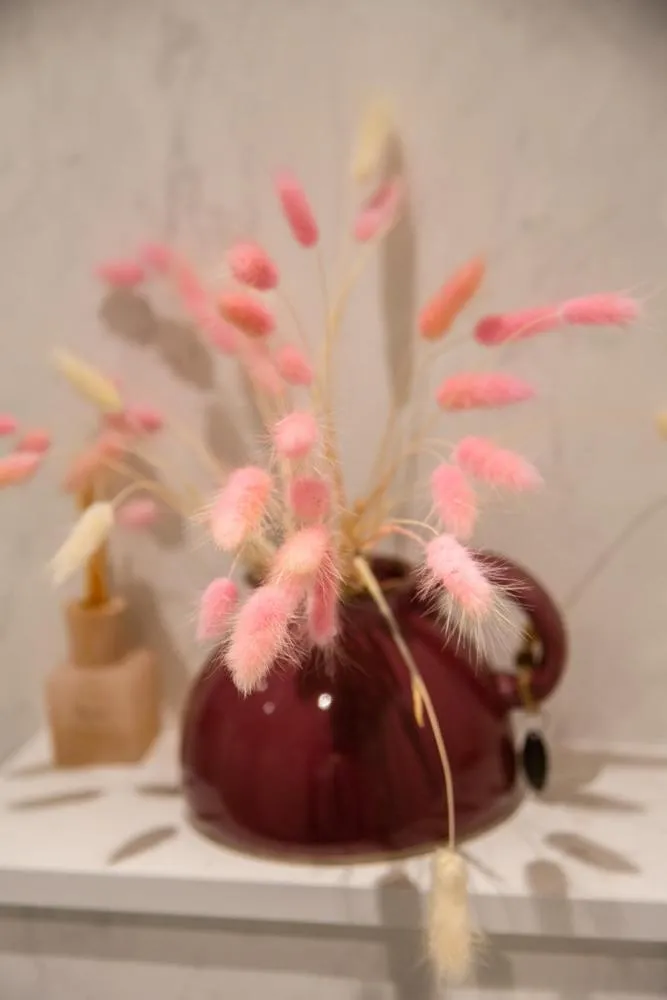 Hotel - B&B Elementum