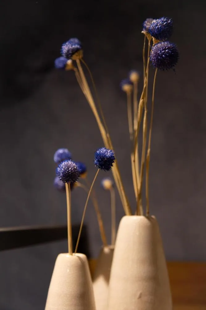 Hotel - B&B Elementum