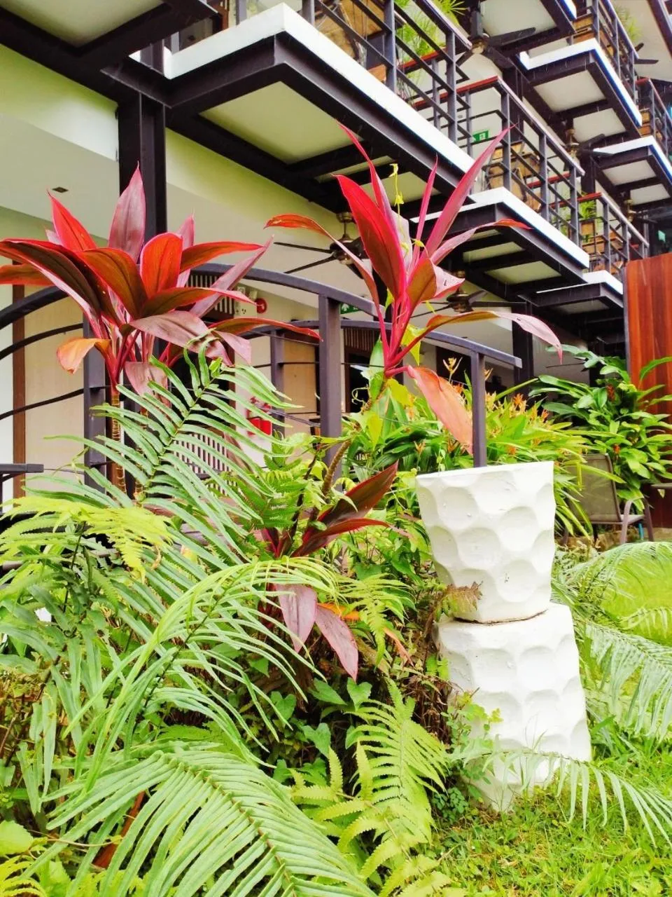 Garden in Hotel De Nara