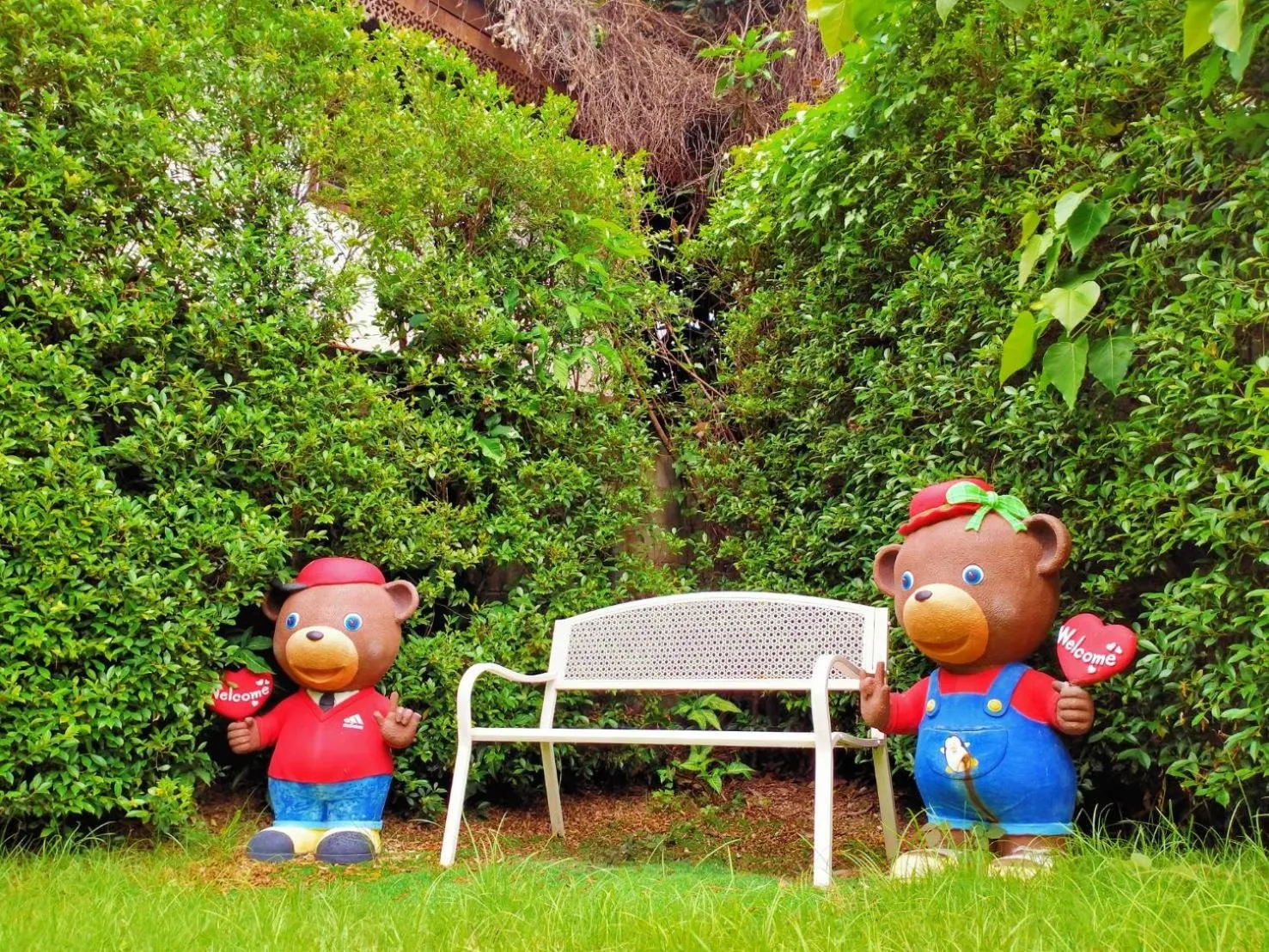 Natural landscape in Hotel De Nara