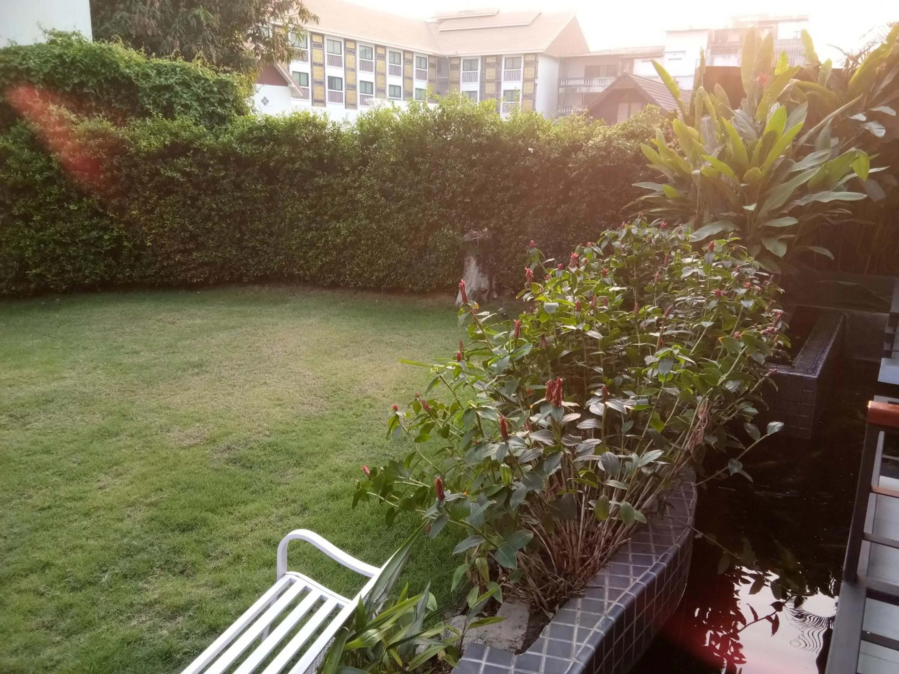 Garden in Hotel De Nara