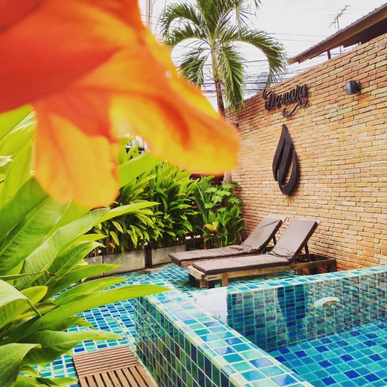 Pool view in Hotel De Nara