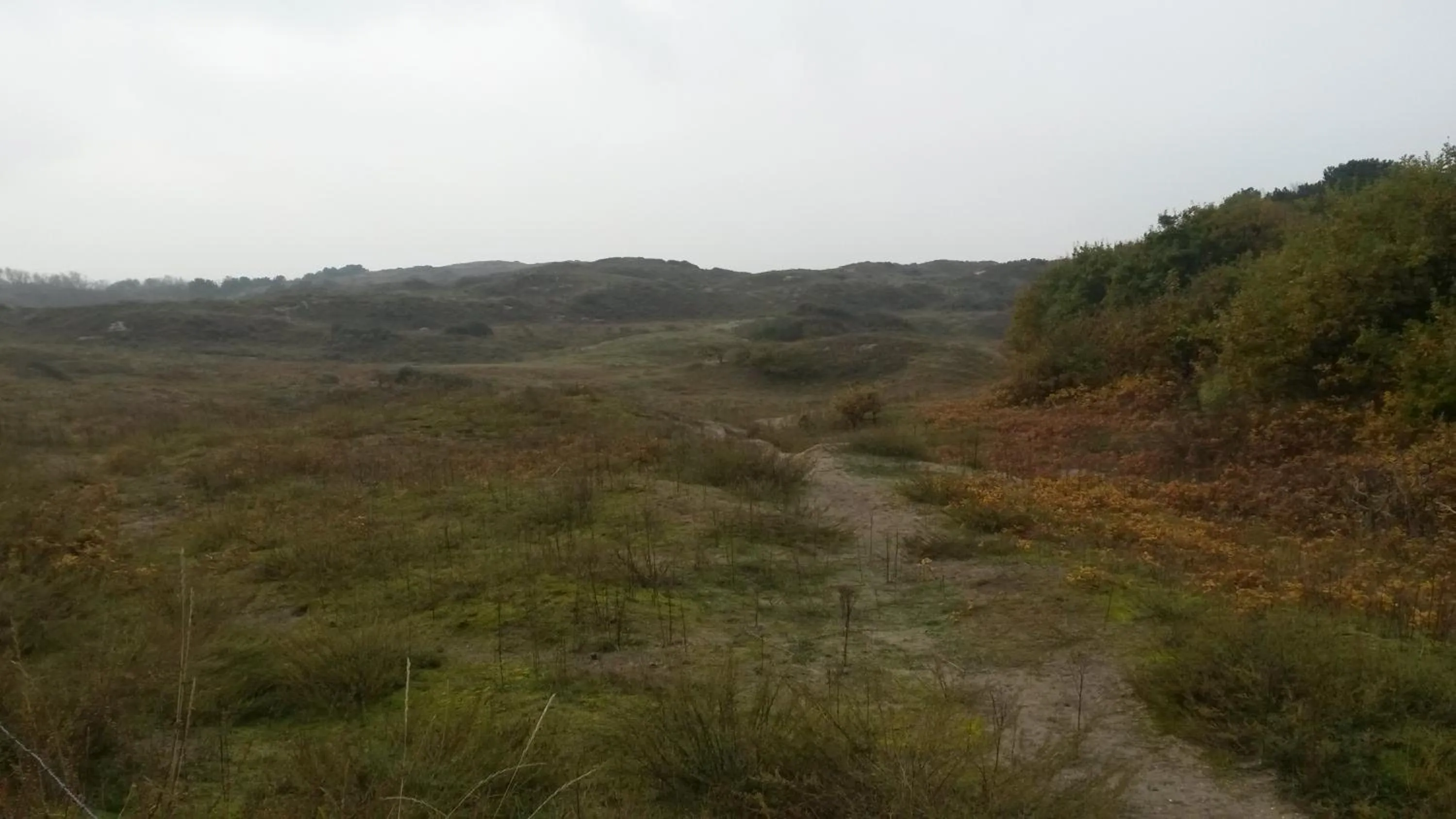 Nearby landmark in B&B Noordwijk Binnen