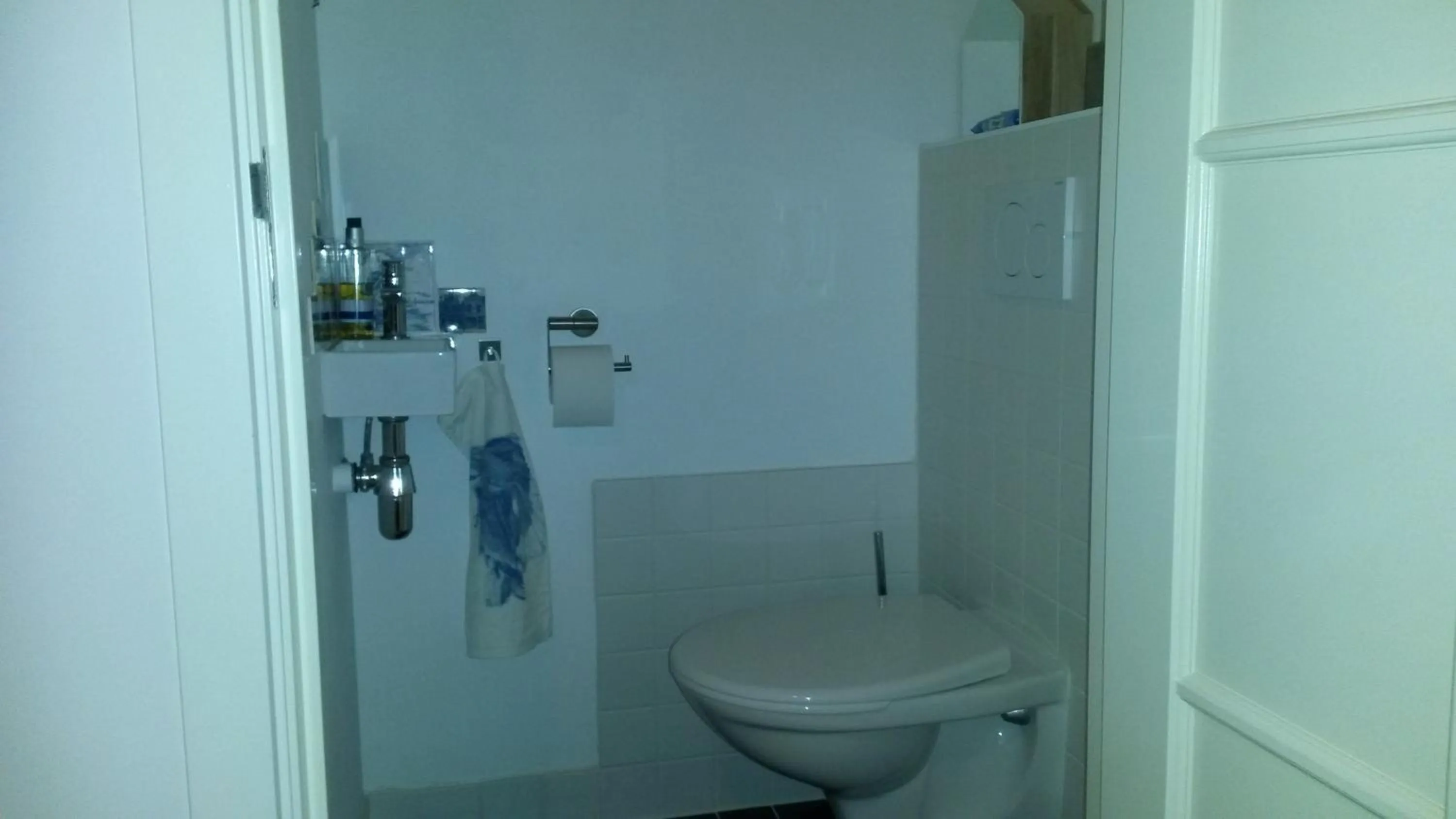 Toilet in B&B Noordwijk Binnen