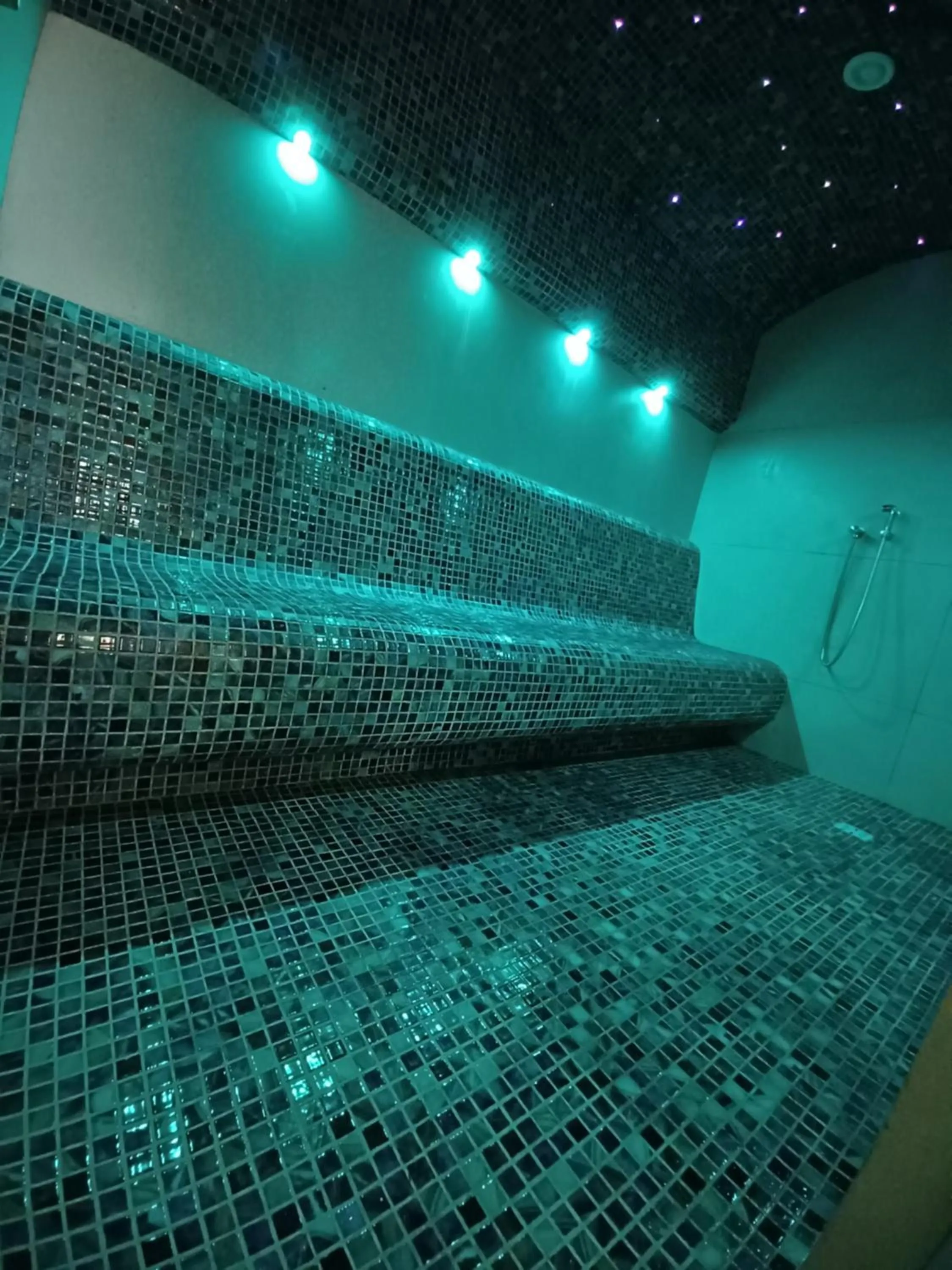 Sauna in Hotel Carmen