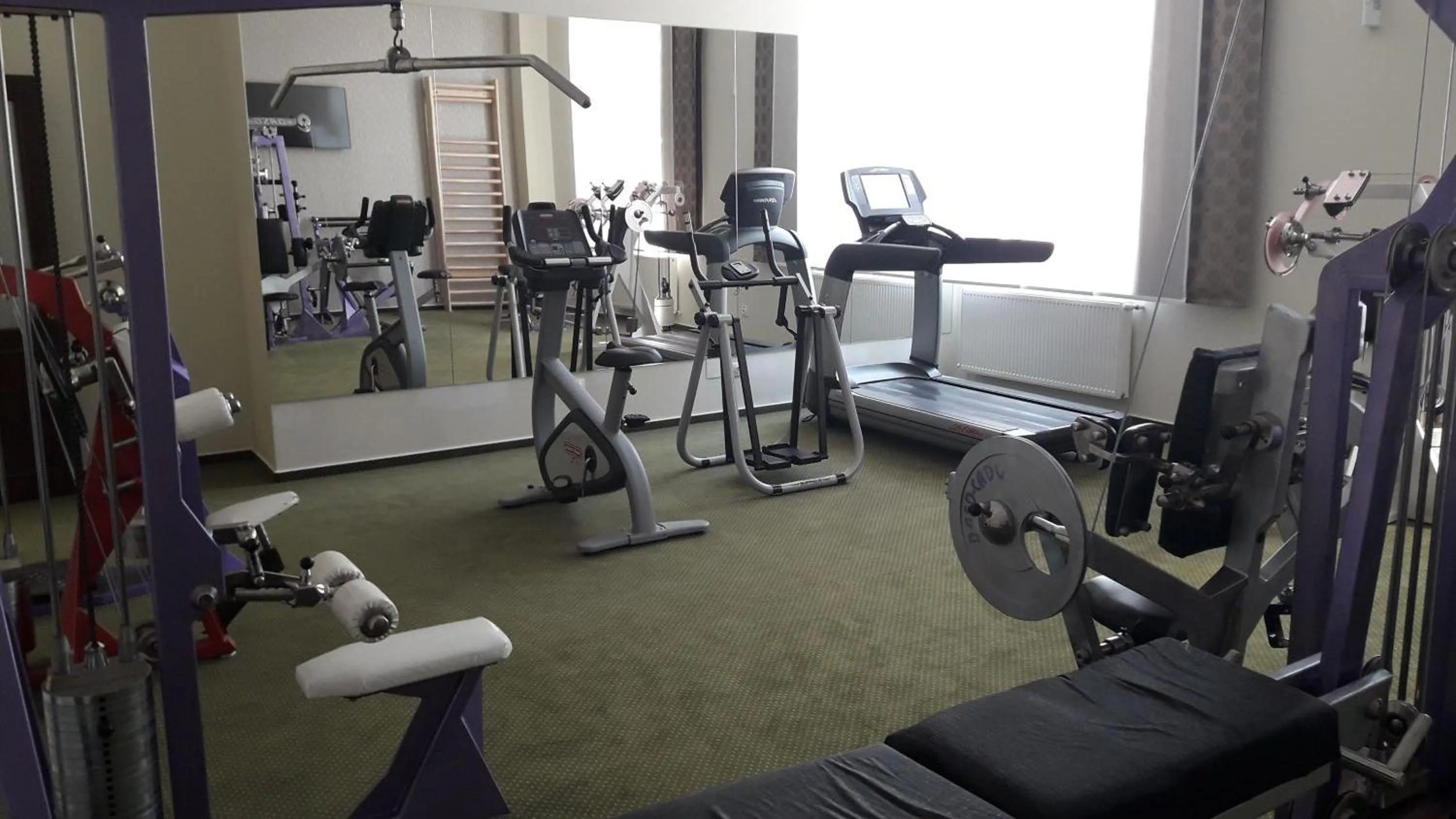 Fitness centre/facilities in Hotel Carmen