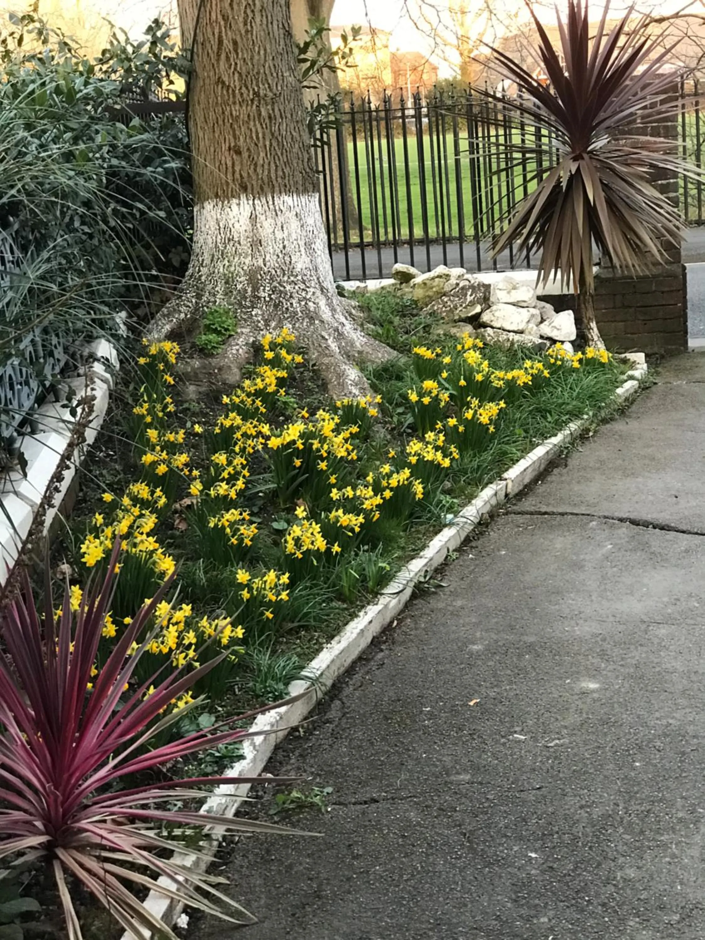 Garden view in A Gosport Inn - Free Private Parking