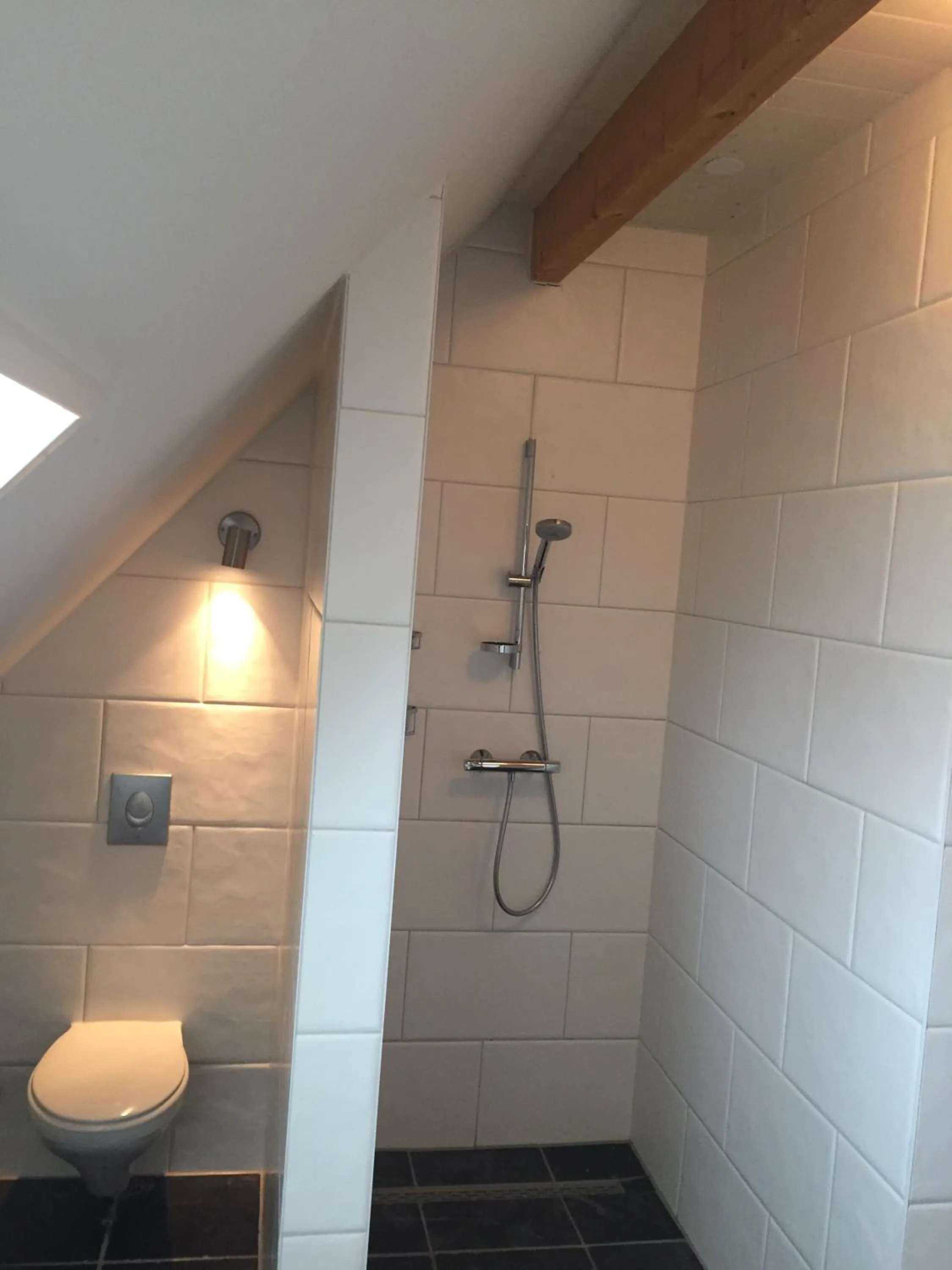 Shower in B&B Idylle aan Zee incl 2 Wellnessstudios