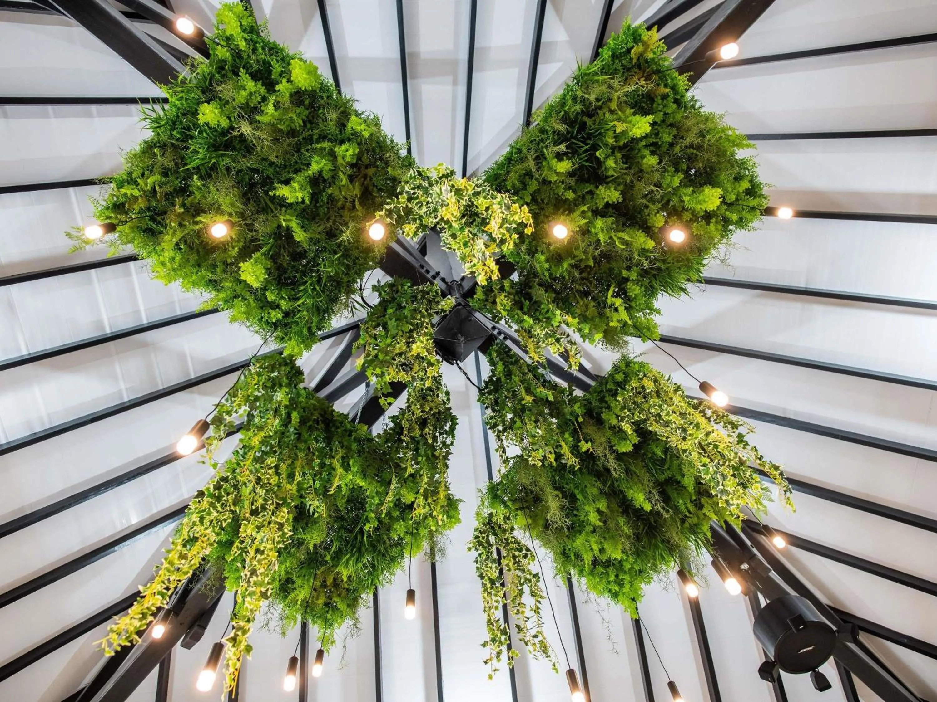 Restaurant/places to eat in Ibis Styles Cayenne Centre Amazonia