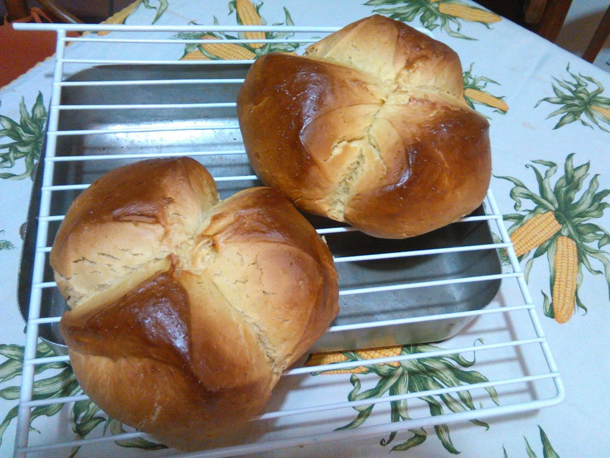 Food close-up in B&B Borgo San Vito