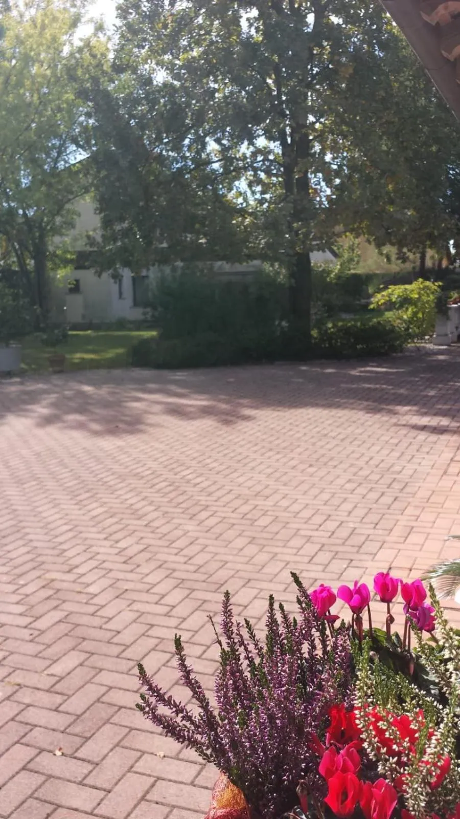 Bird's eye view in B&B Borgo San Vito