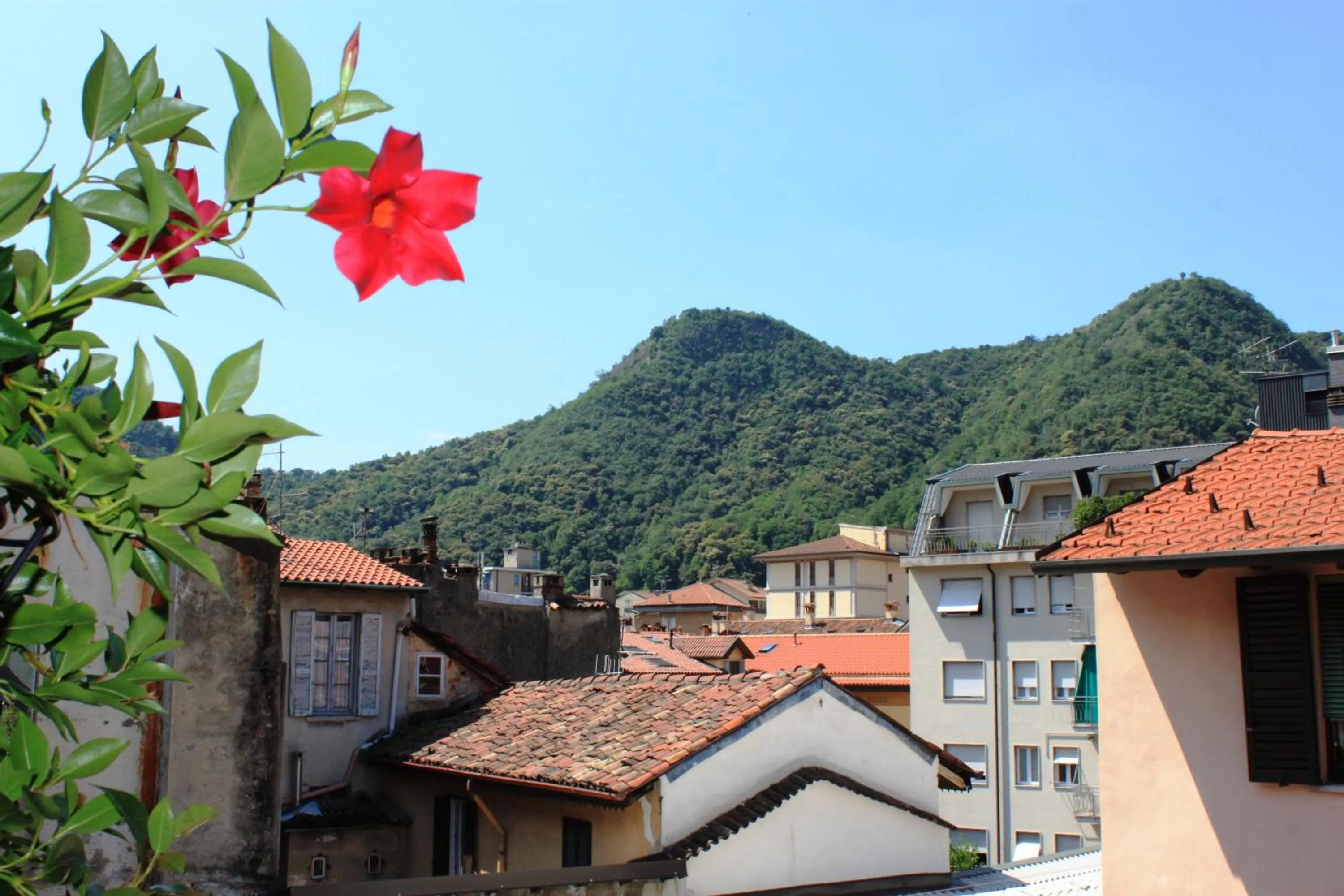 Neighbourhood in Le Dame Della Cortesella B&B