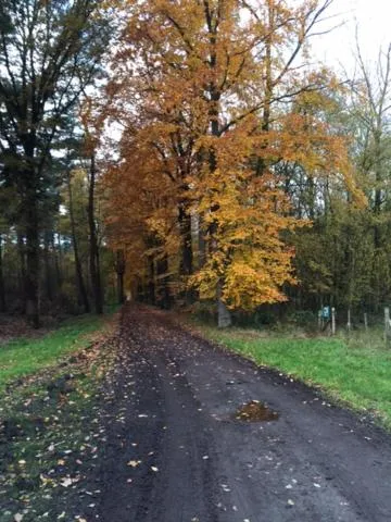 Other in Hotel Prélude